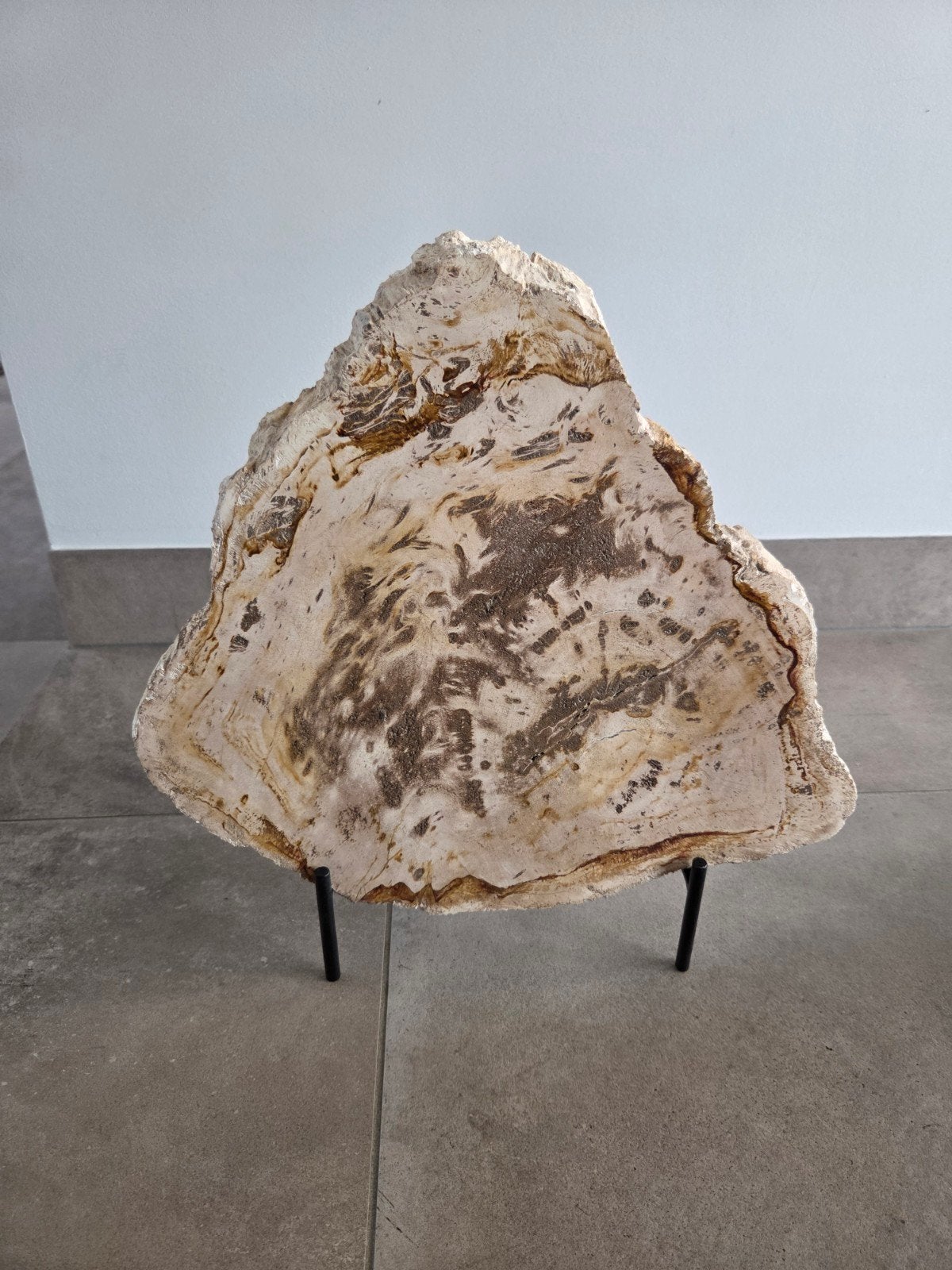 Prachtige plak versteend hout 37 hoog x 36 breed op sokkel, Ophalen of Verzenden