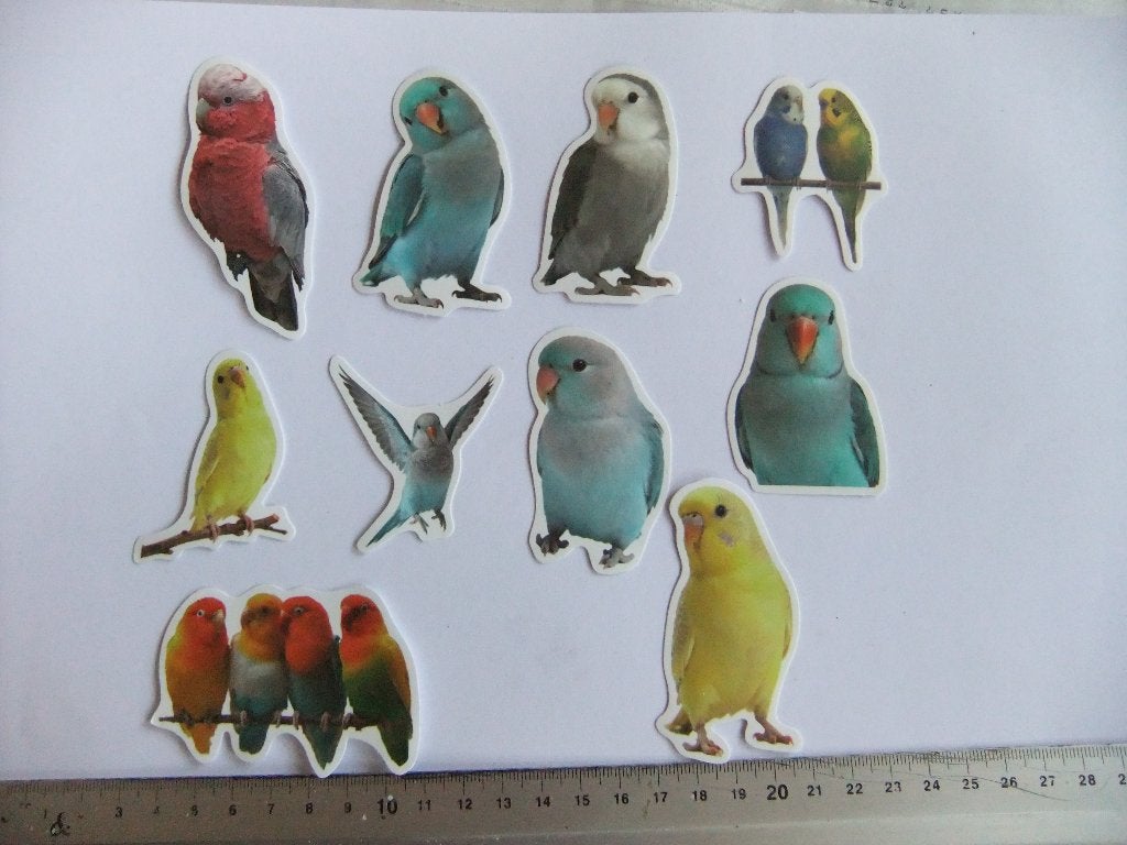 10 parkiet of papagaai stickers set 5, Verzenden, Nieuw, Meerdere stickers