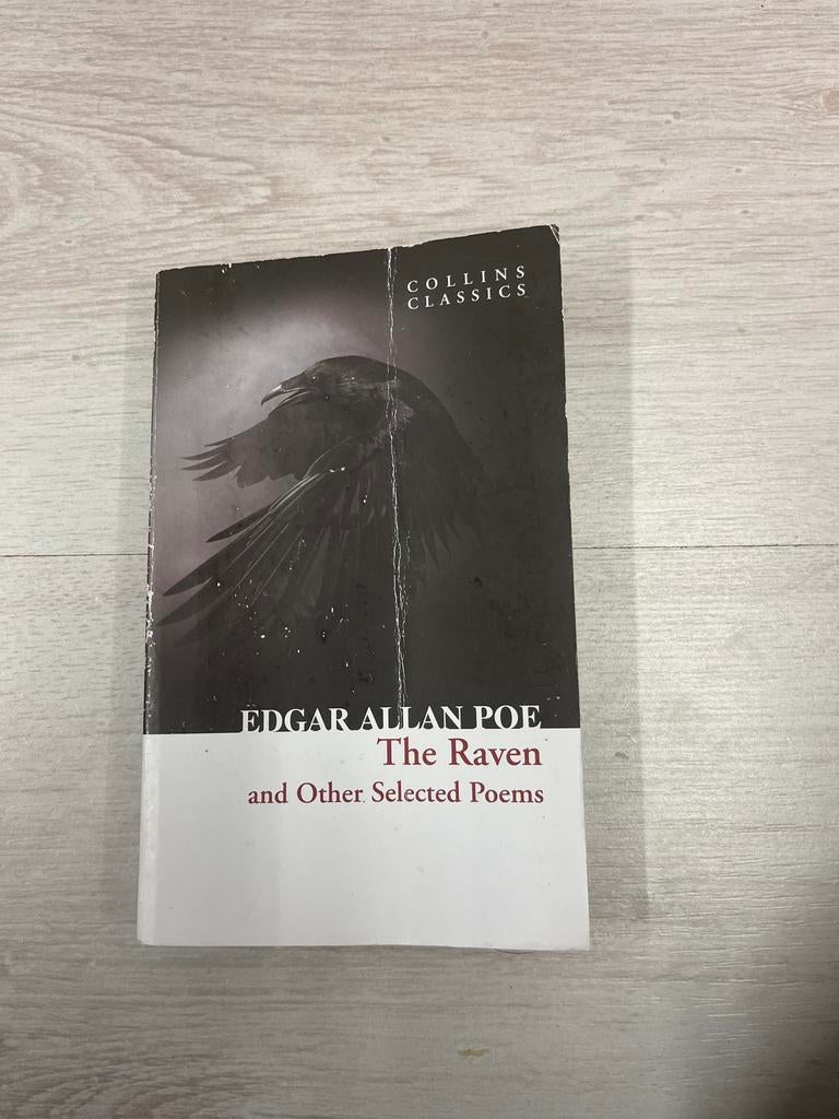 Edgar Allan Poe - The Raven and Other Selected Poems, Boeken, Ophalen of Verzenden, Gelezen, Amerika
