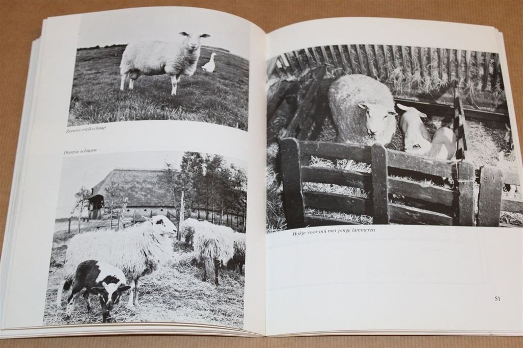 Schapen Houden als Liefhebberij — Rassen & Verzorging, Ophalen of Verzenden, Gelezen, Vogels