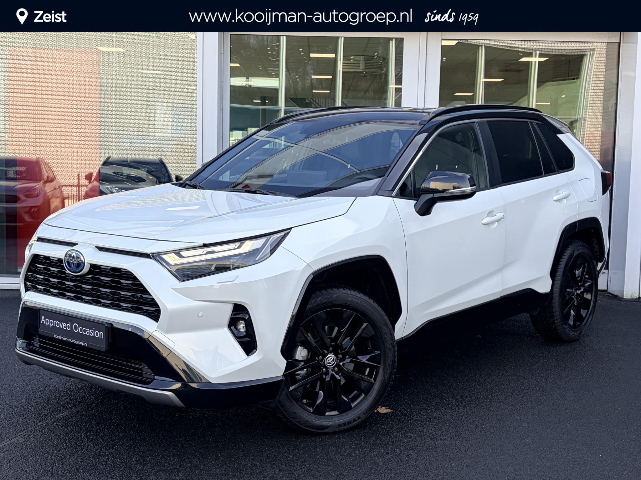 Toyota RAV4 AWD Bi-tone Navigatie, Stuurwiel- & Stoelverwarm