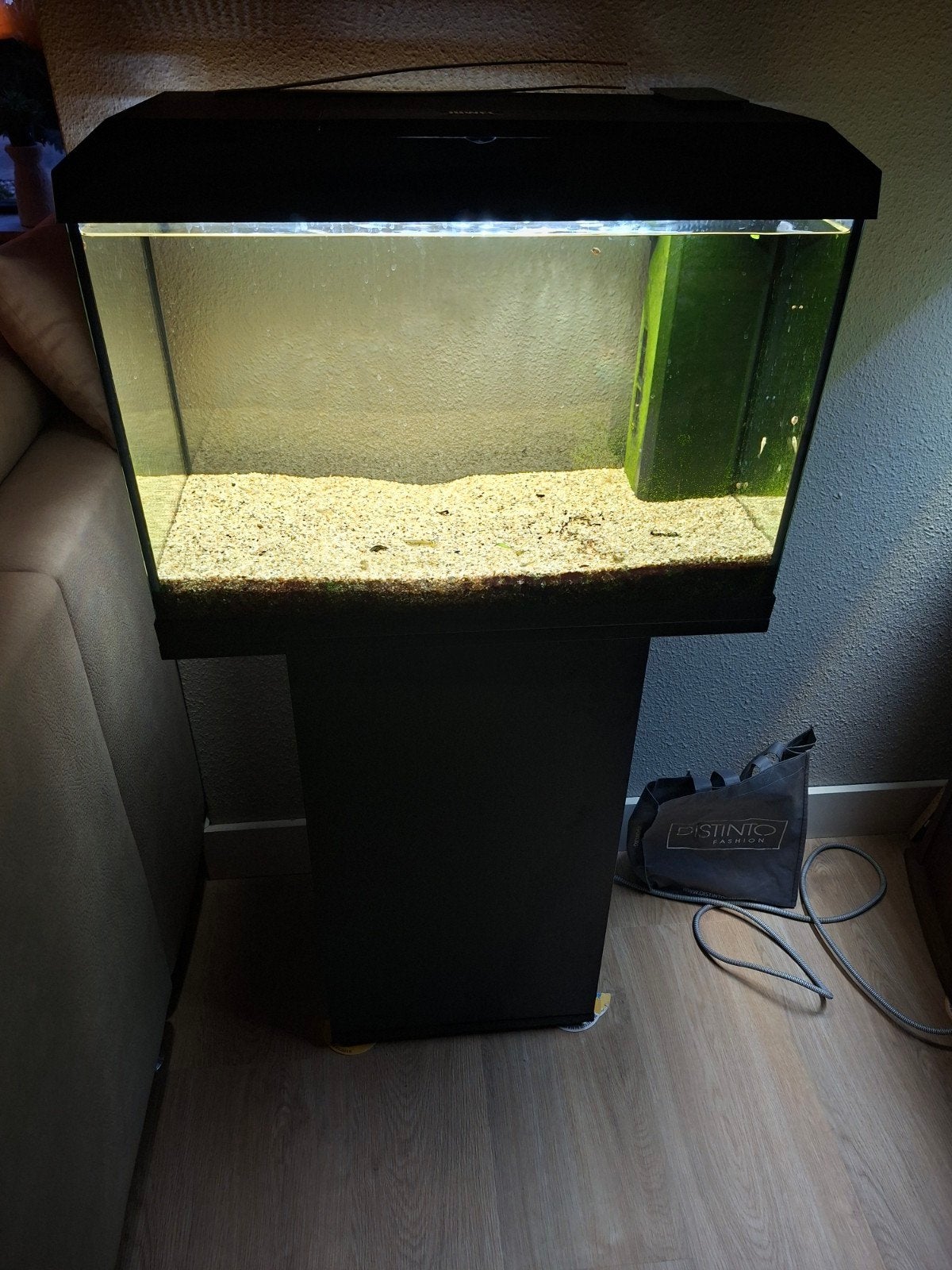 JUWEL AQUARIUM 60CM, Juwel, Ophalen, Inclusief deksel, Gevuld zoetwateraquarium