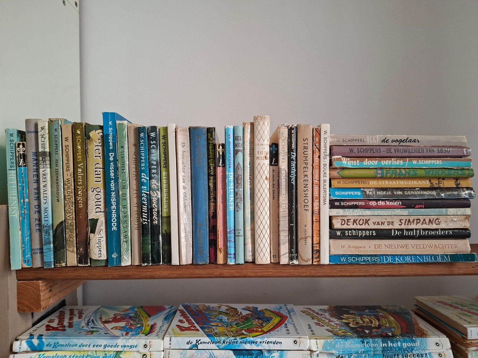 W. Schippers boeken - Bijna complete serie, Gelezen, Ophalen of Verzenden, Nederland, W. Schippers