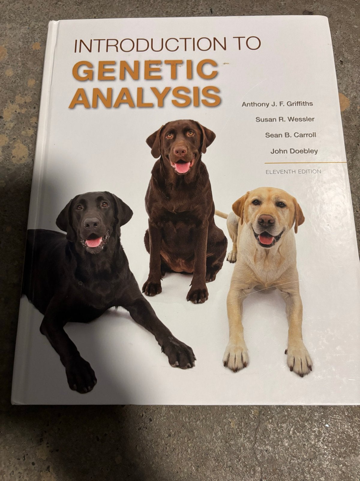 Introduction to Genetic Analysis - Elfde Editie, Boeken, Ophalen of Verzenden, Beta, Zo goed als nieuw, WO