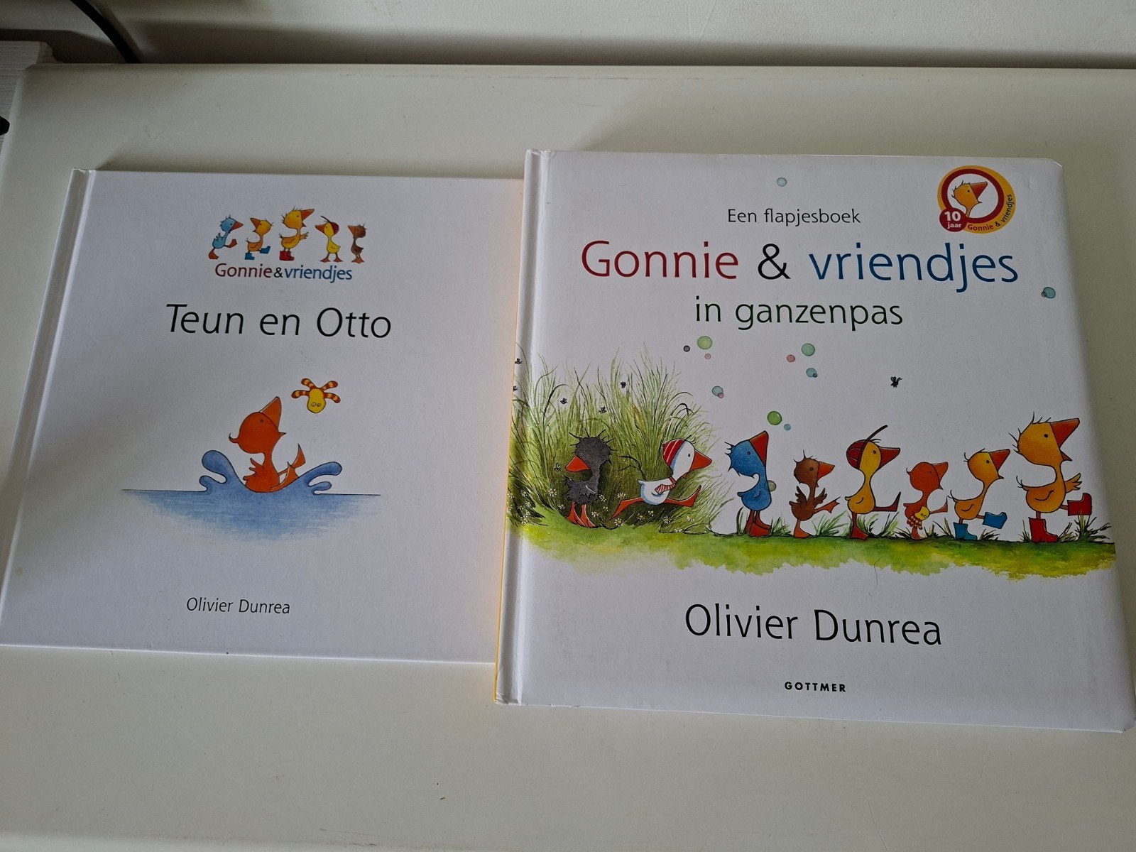 Olivier Dunrea  Gonnie en vriendjes in ganzenpas flapjes, 3 tot 4 jaar, Ophalen of Verzenden, Uitklap-, Voel- of Ontdekboek, Gelezen