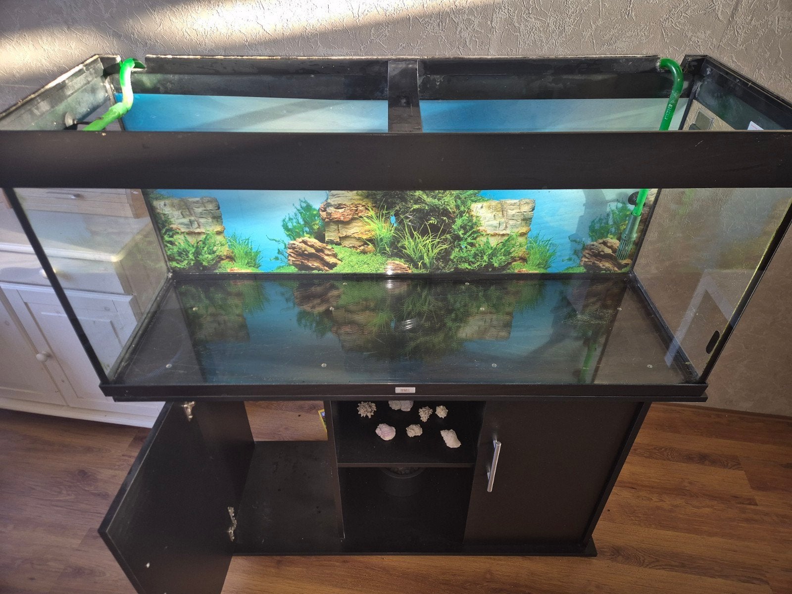 Juwel rio 240 Leeg, Dieren en Toebehoren, Ophalen of Verzenden, Leeg aquarium