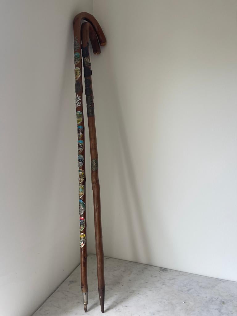 2 Vintage Wandelstokken met Authentieke Schildje, Ophalen of Verzenden, Gebruikt
