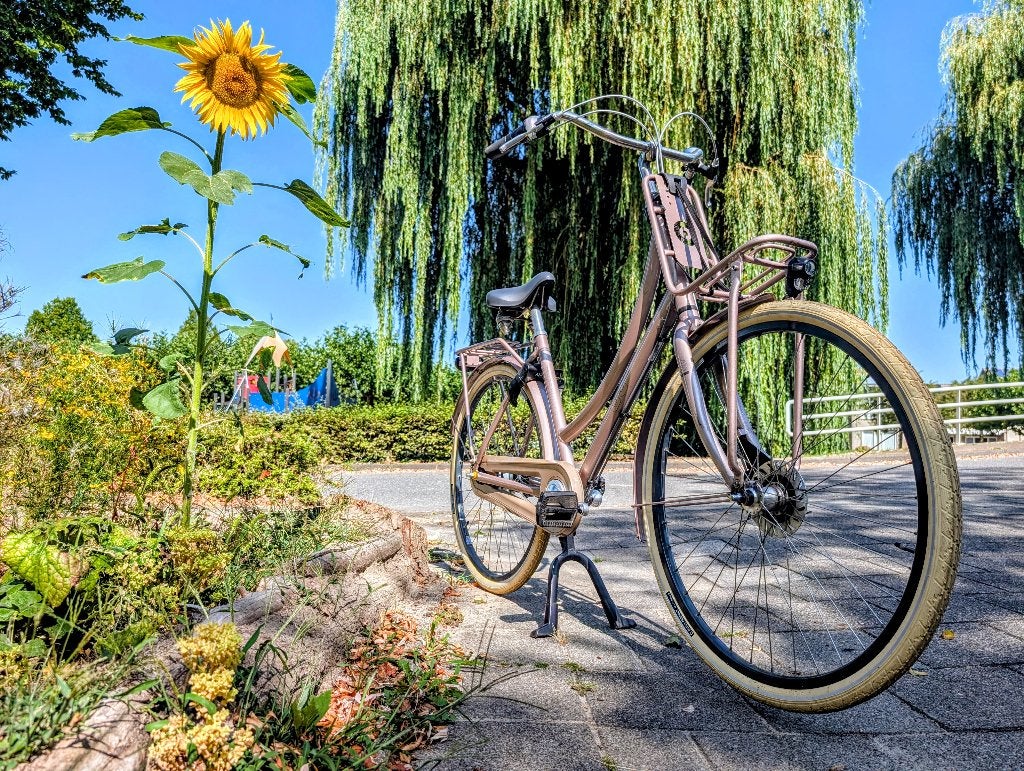 Cortina U5 damesfiets - framemaat 50 cm – Nexus 8V, Fietsen en Brommers, Fietsen | Dames | Damesfietsen, Gebruikt, Versnellingen