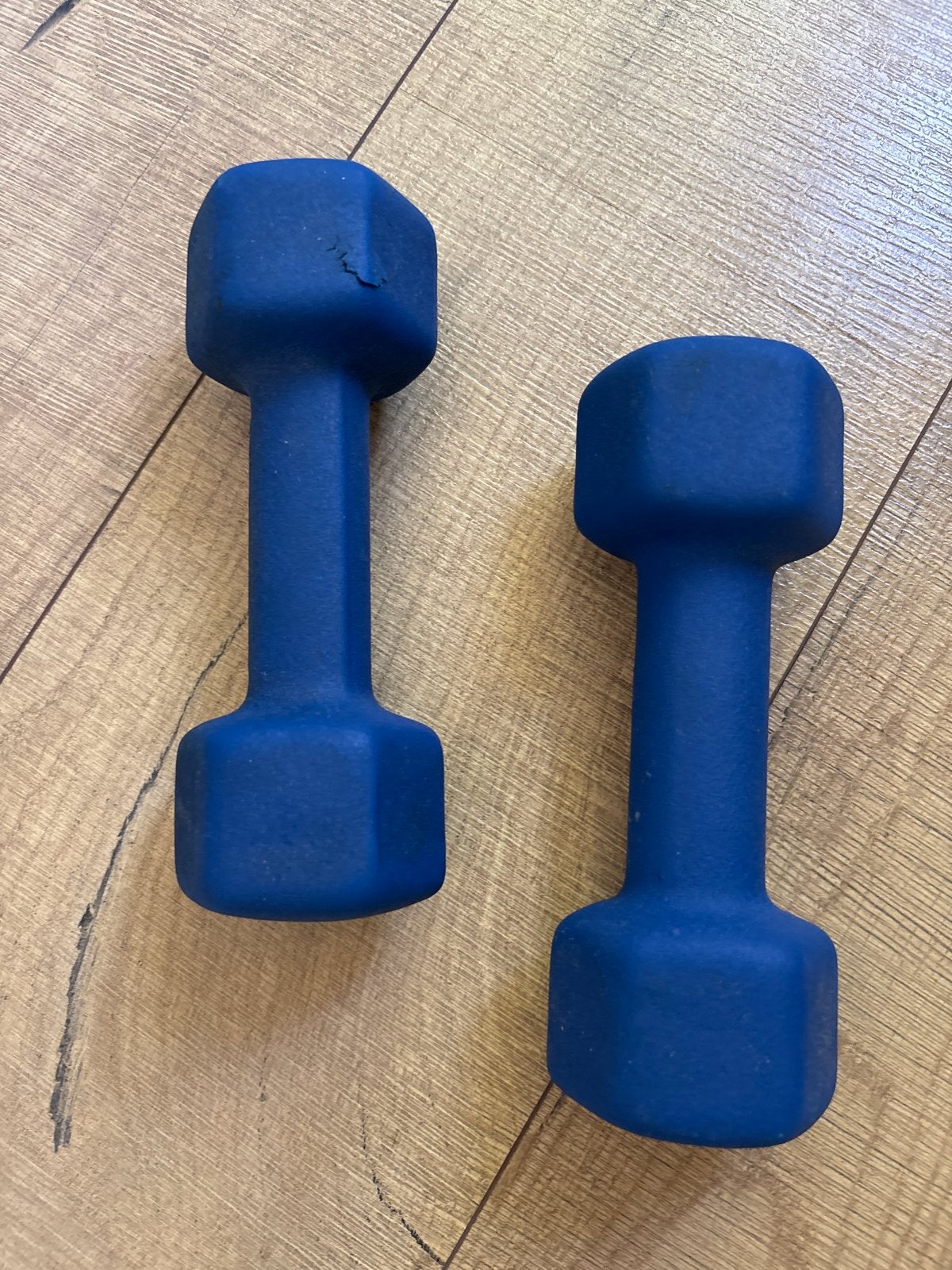 Set van 2 INQ Dumbbells - 2KG - Blauw, Ophalen, Gebruikt, Armen, Dumbbell