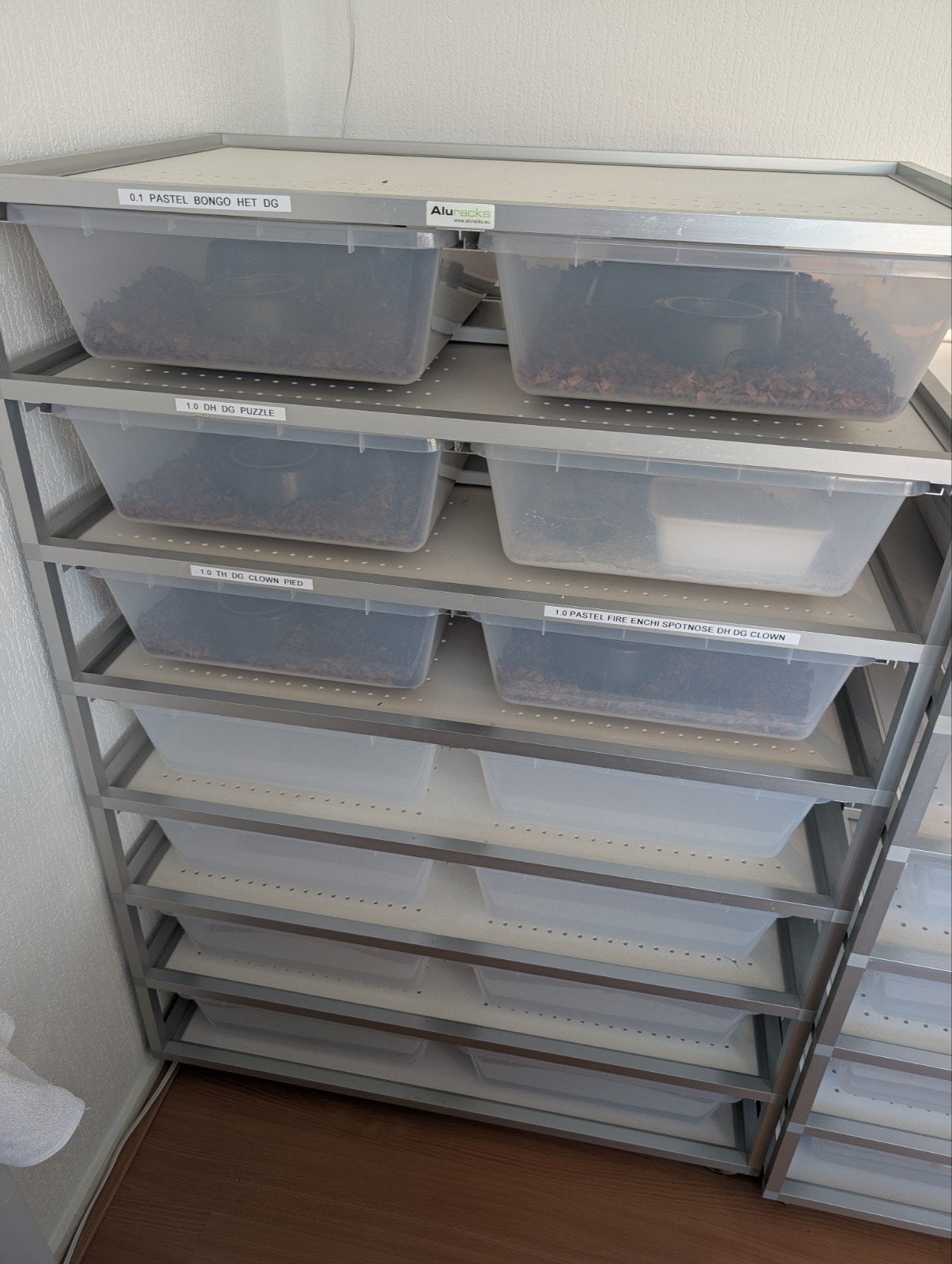 Aluracks V28 rack met 4 ball pythons, Ophalen of Verzenden, Zo goed als nieuw