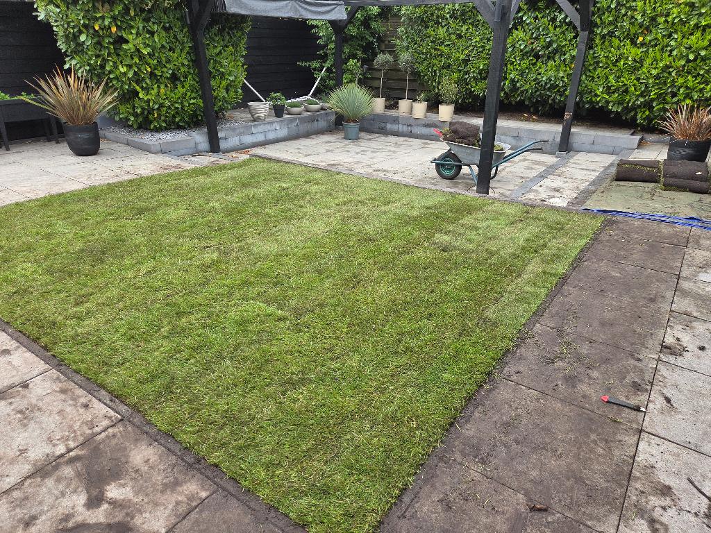 Graszoden 7 m2, Tuin en Terras, Gras en Kunstgras, Ophalen, Nieuw, Minder dan 10 m², Gras