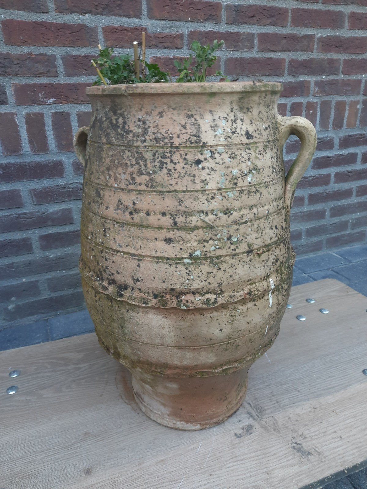 Grote terracotta pot met handvatten, Ophalen of Verzenden