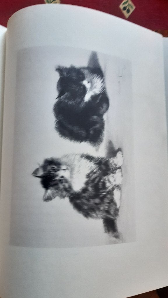 Twee vrouwen over katten., Ophalen of Verzenden, Gelezen
