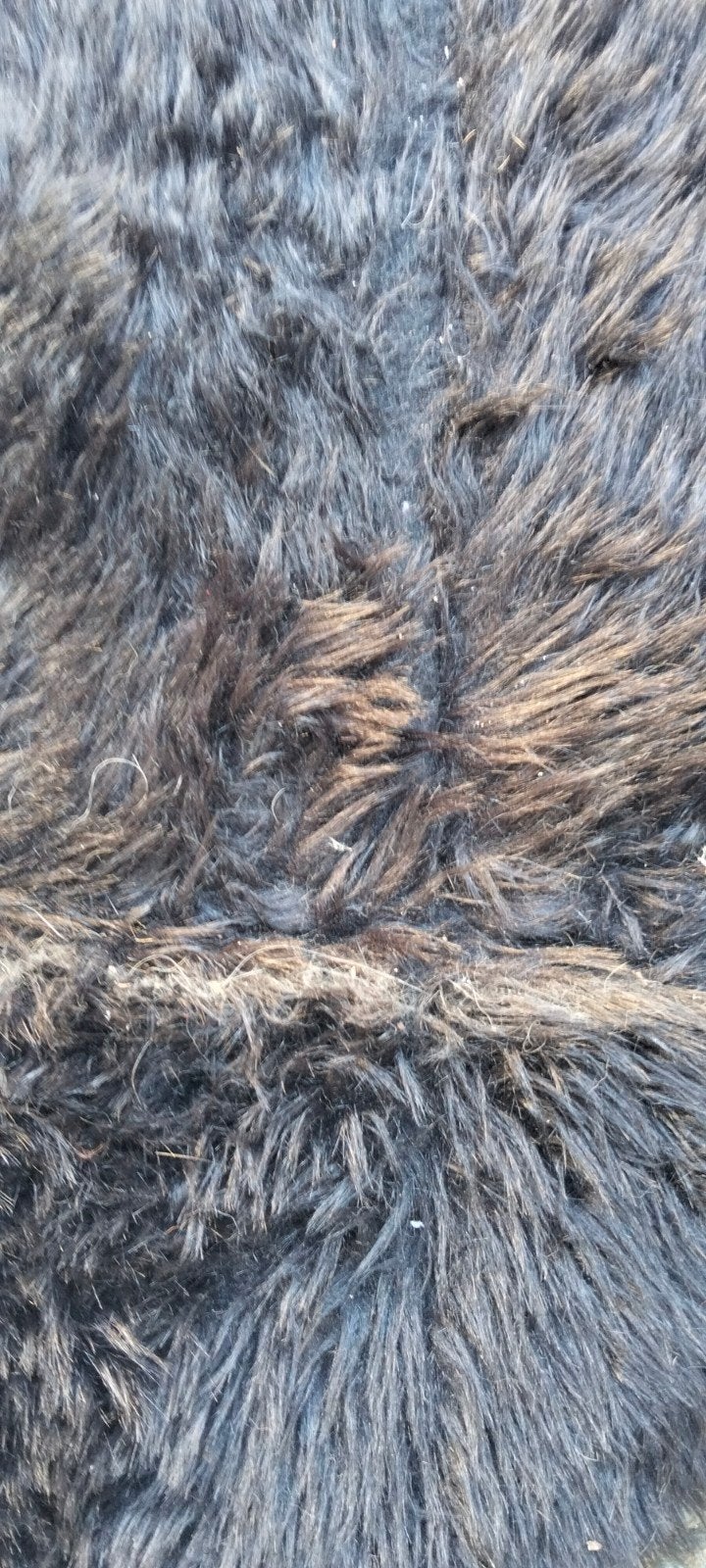 Mooie plaid vacht schapen vacht zwart van kleur., Gebruikt, ., Ophalen of Verzenden, .