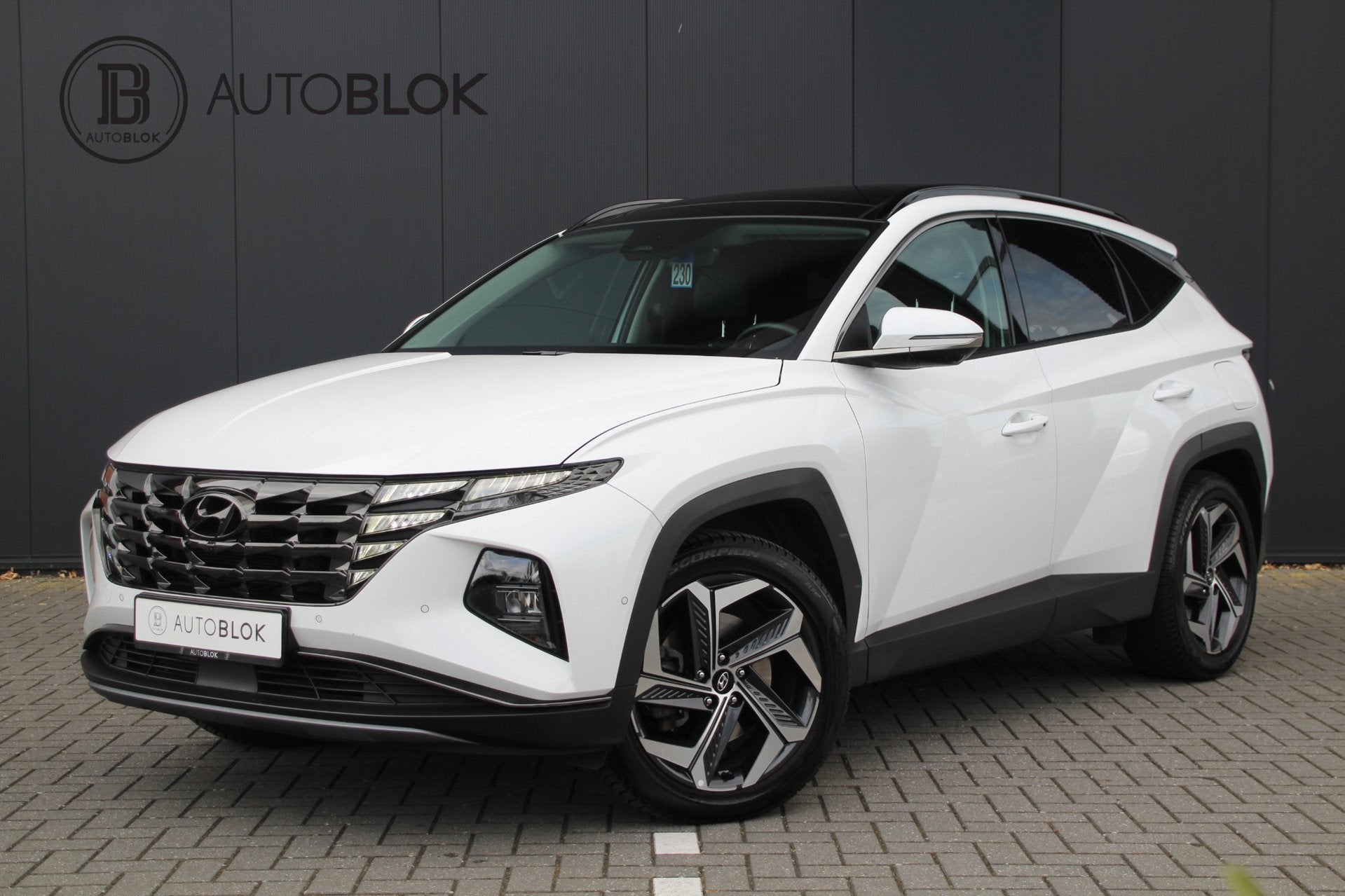 Hyundai Tucson 1.6 T-GDI PHEV Premium Sky 4WD | Panoramadak, Auto's, Hyundai, Gebruikt, Zwart, 4 cilinders, Wit