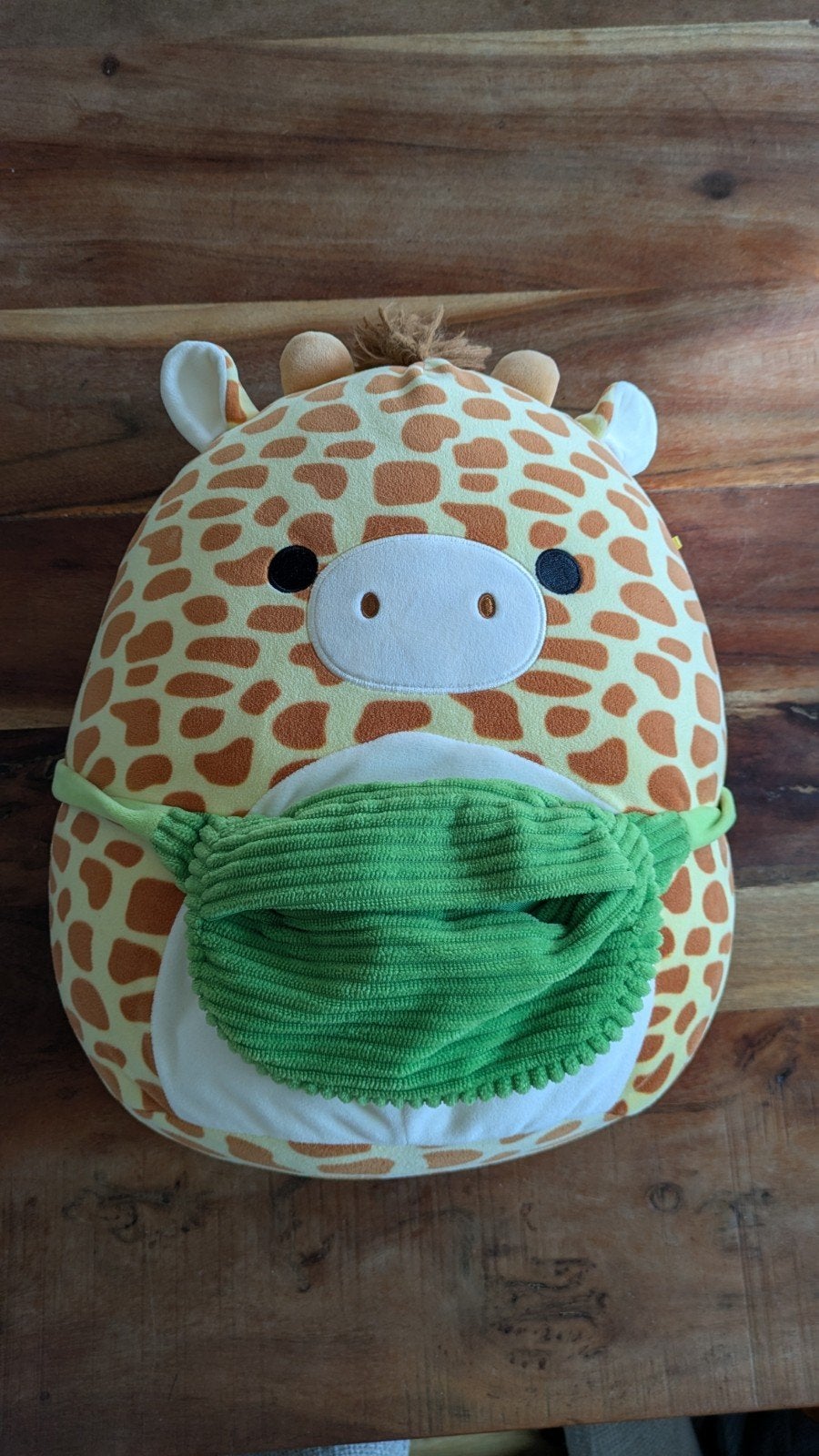 Squishmallow Gary de Giraf - In perfecte staat, Giraf, Ophalen of Verzenden, Zo goed als nieuw, Middelgroot (20 tot 80 cm)