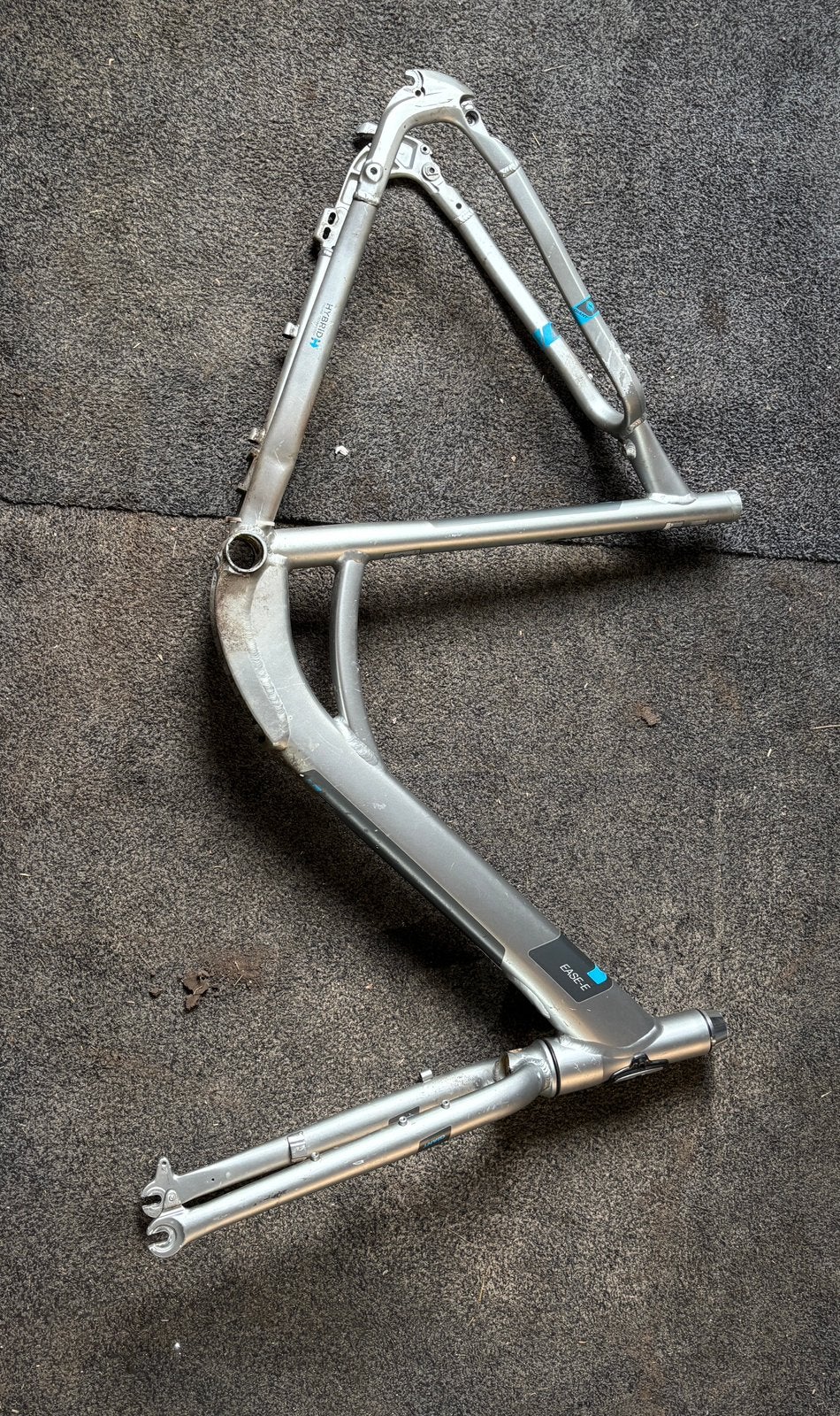 Gaint Ease E frame maat L, Elektrische fiets, Frame, Gebruikt, Verzenden