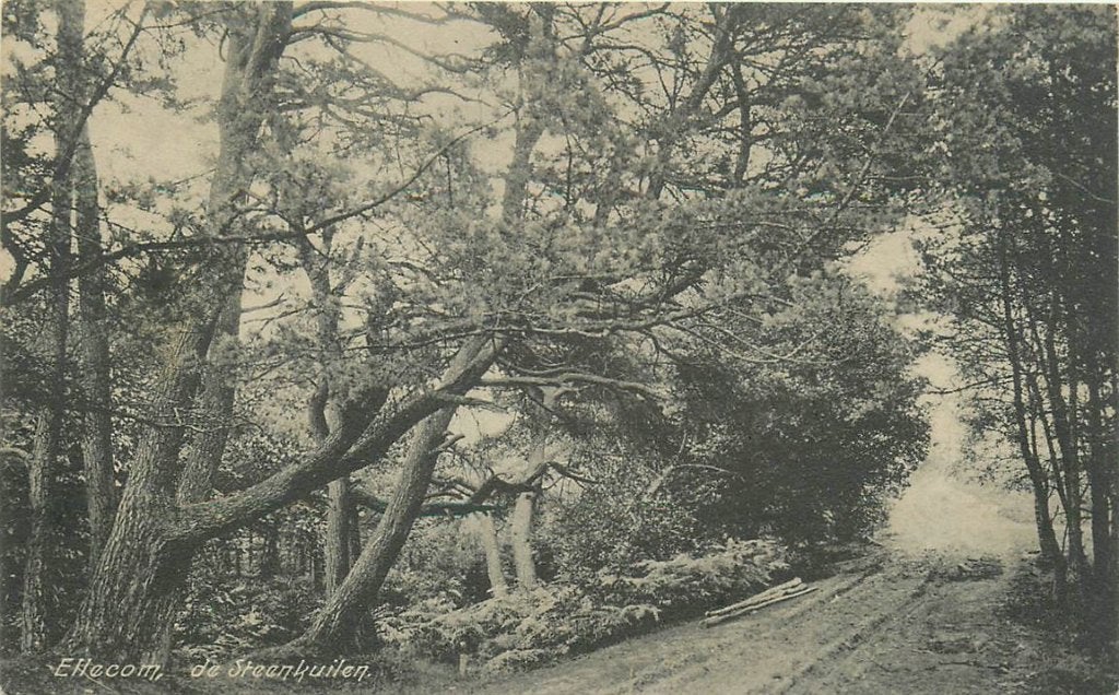 379-246-007 Ellecom De Steenkuilen, Ophalen of Verzenden, Voor 1920, Gelderland