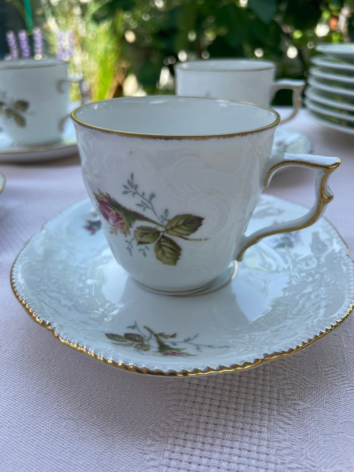 4 st Rosenthal kopjes Moss rose  roomwit, Ophalen of Verzenden