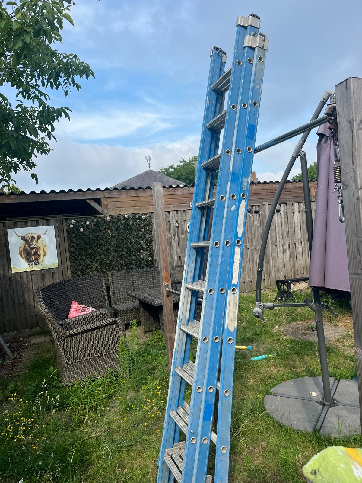 Degelijke Das ladder - enkele jaren oud, weinig gebruikt, Doe-het-zelf en Verbouw, Ladders en Trappen, Ophalen, Gebruikt, Ladder
