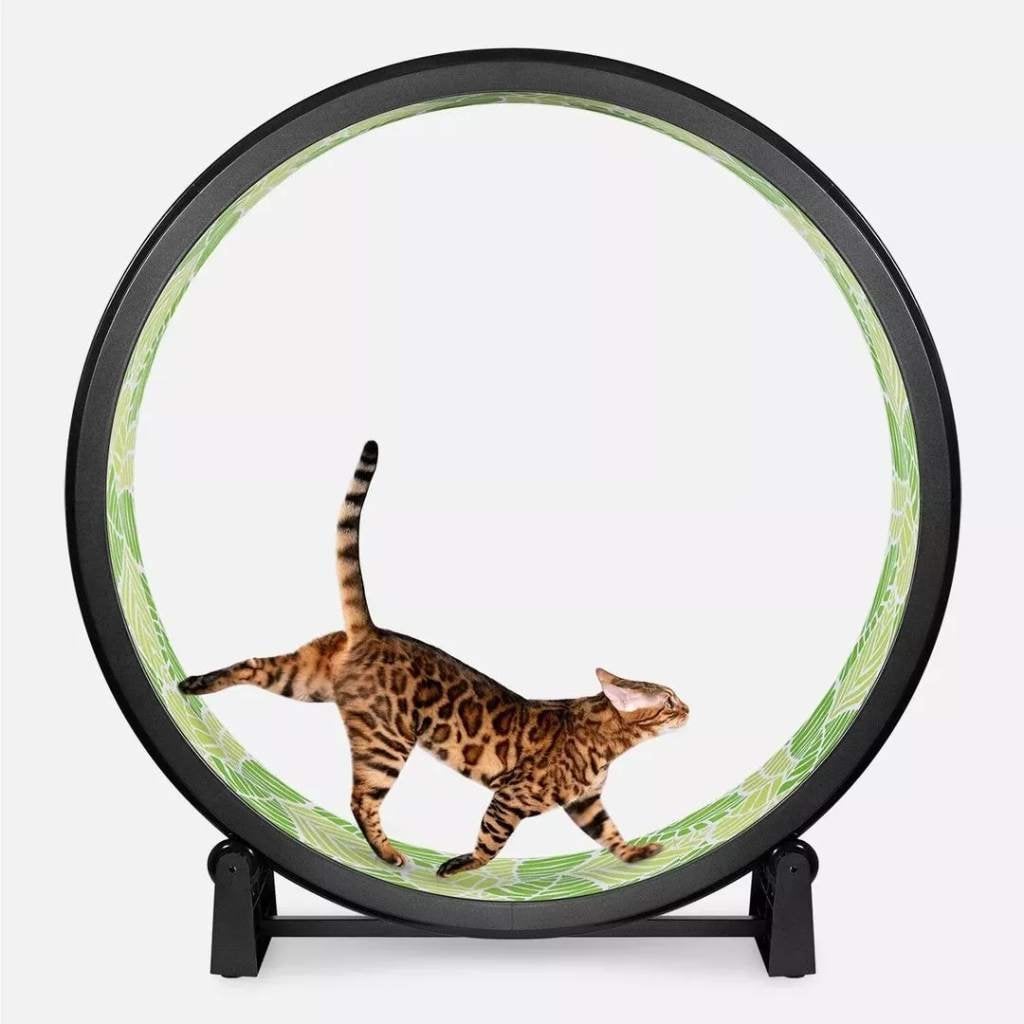 Kattenloopwiel One Fast Cat, Ophalen of Verzenden, Nieuw, Intelligentiespeelgoed