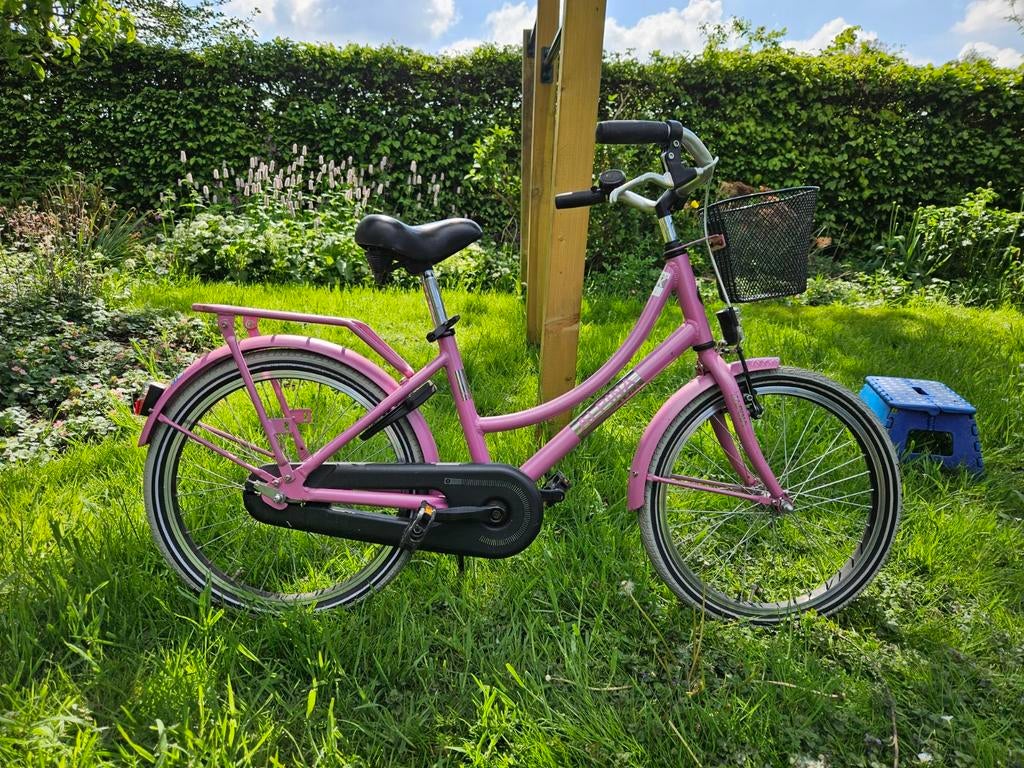 Nette Alpina meisjesfiets 18 inch, Ophalen, Gebruikt, 18 inch, Alpina