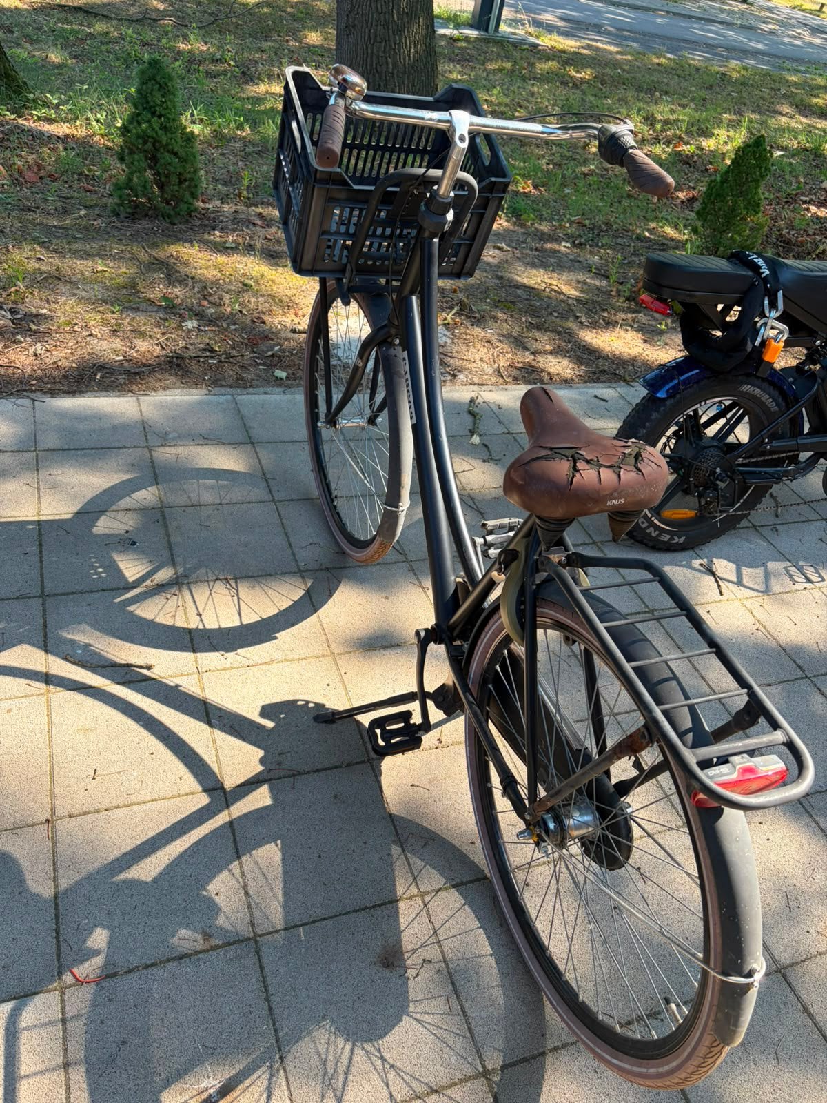 Mooie degelijke dames/kinder fiets merk cargo3, Ophalen, Gebruikt, Terugtraprem, Versnellingen