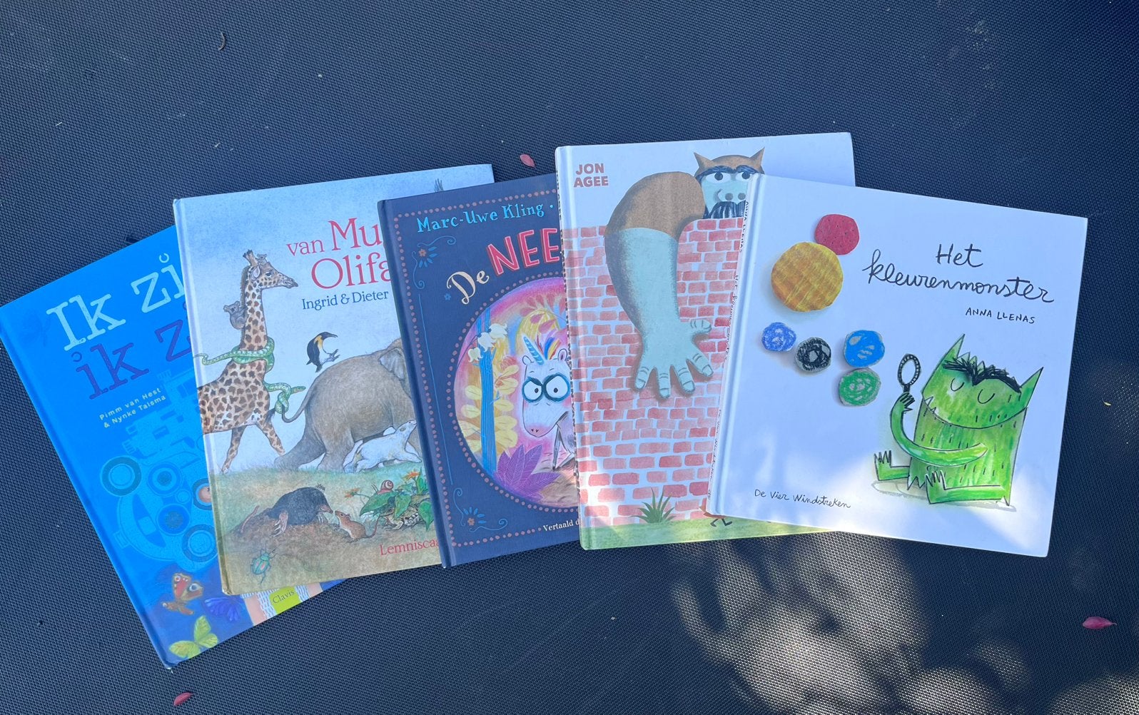 Tas met prentenboeken, Ophalen, Gelezen, Prentenboek