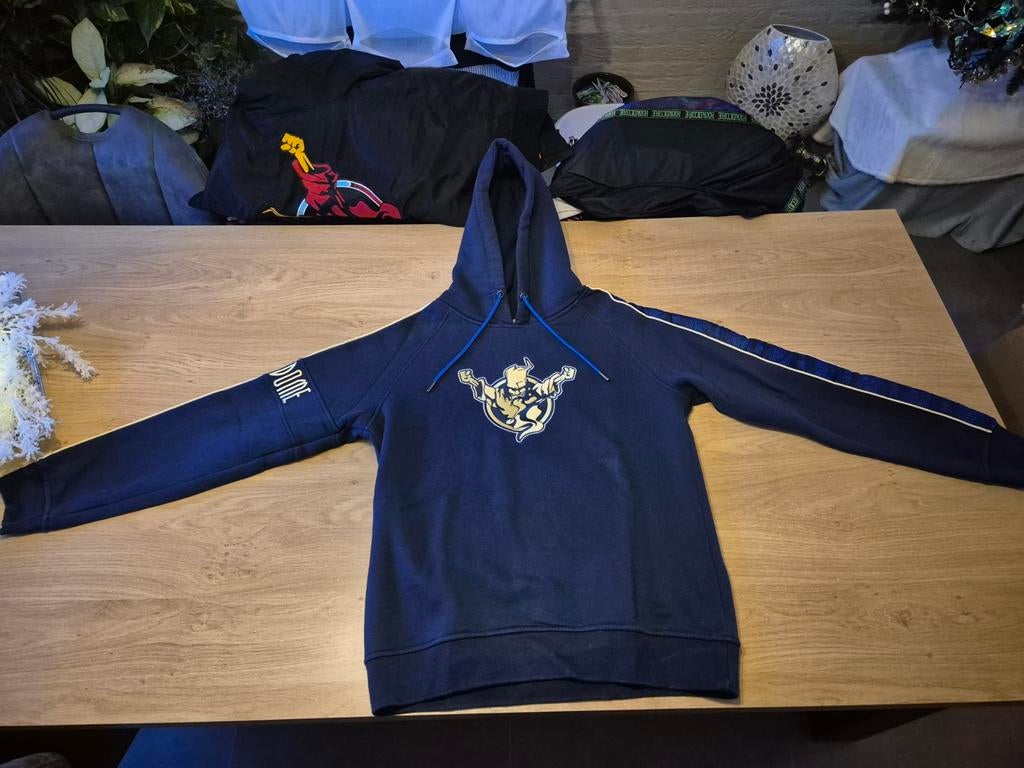 Thunderdome hoodie XL, Kleding | Heren, Blauw, Thunderdome, Maat 56/58 (XL), Ophalen of Verzenden