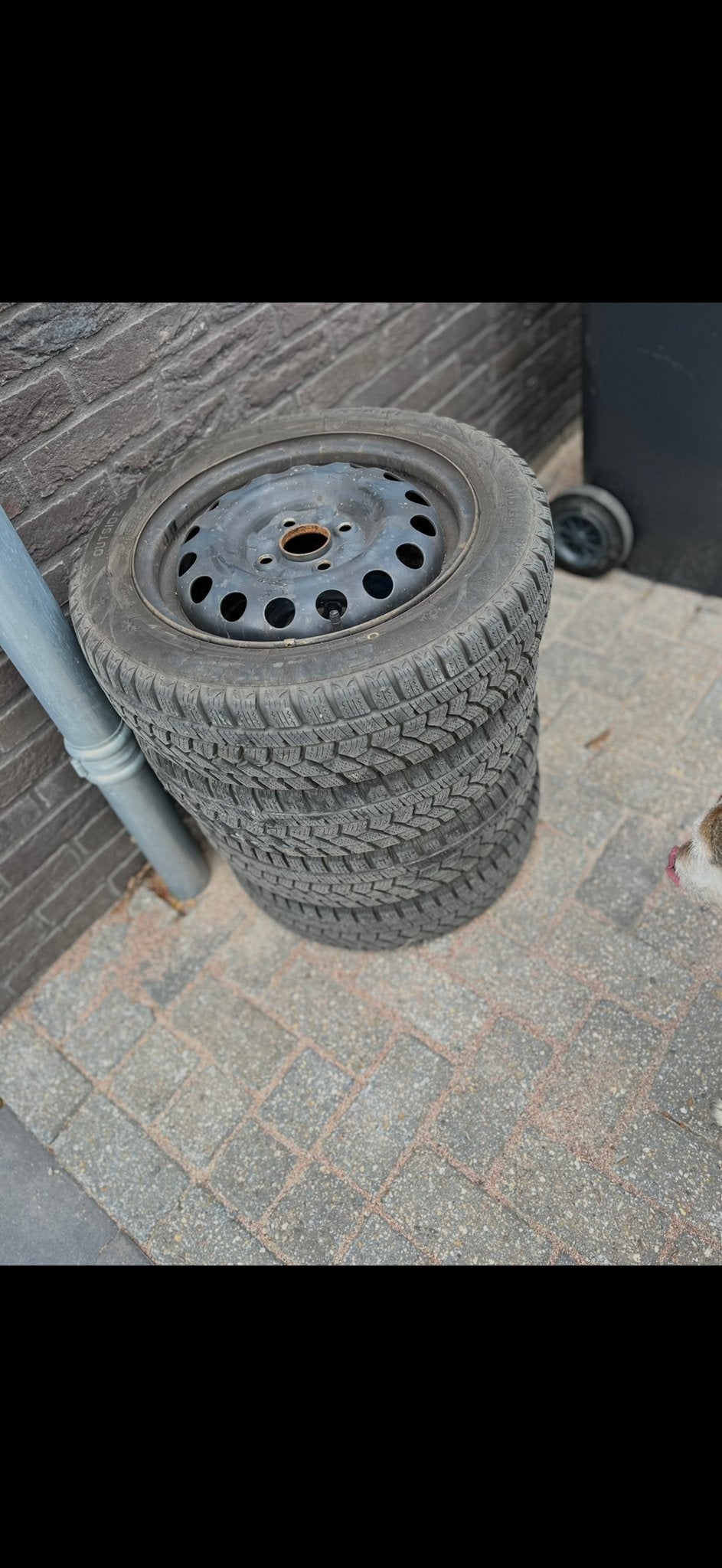 Winterbanden 155/65R14 op stalen velgen, Ophalen, 14 inch, Gebruikt, 155 mm