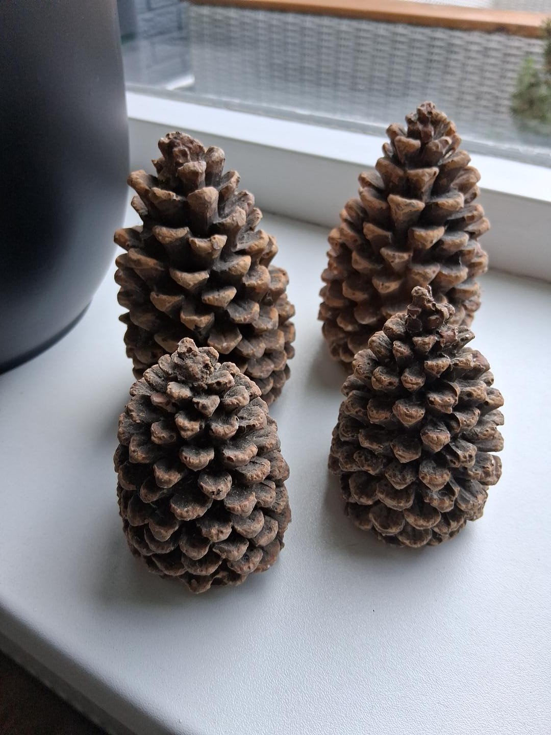 4 Vuurvaste Dennenappels voor Openhaard (2x 12cm, 2x 8cm), Ophalen, Vrijstaande haard, Houthaard