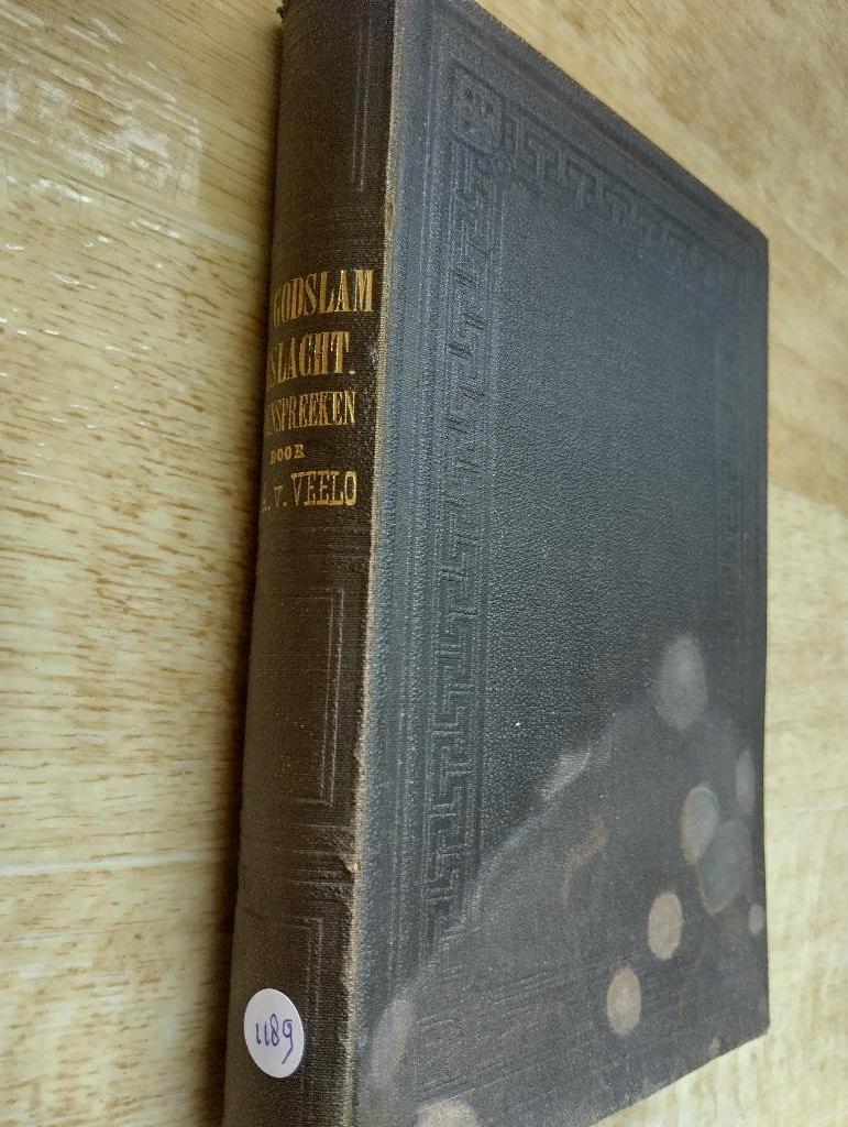 Nr. 1189 Ds A. van Veelo, Het Godslam geslacht, Antiek en Kunst, Ophalen of Verzenden, Veelo, ds A. van
