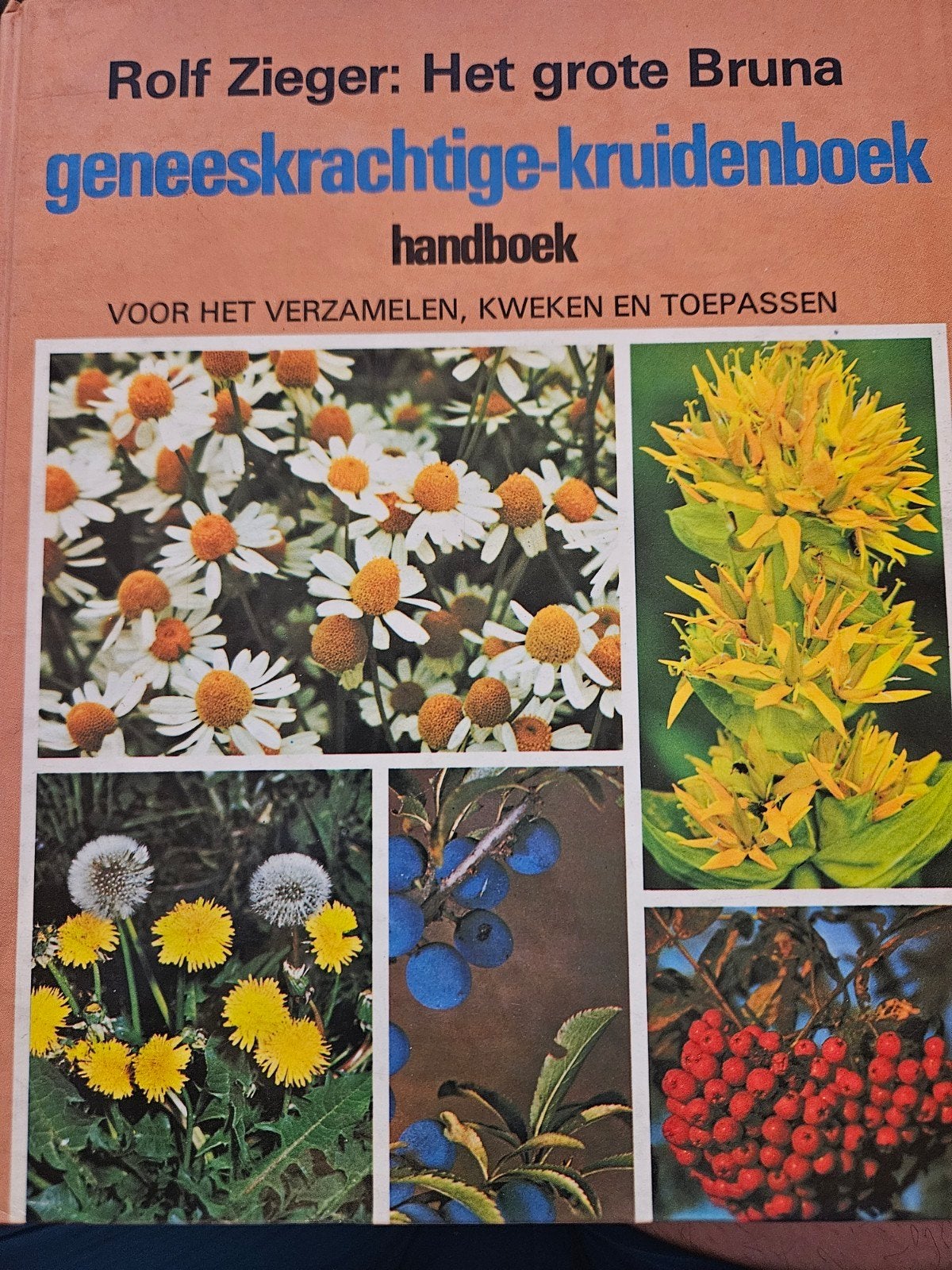 Het grote Bruna geneeskrachtige-kruidenboek, Ophalen of Verzenden, Gelezen, Kruiden en Alternatief, Rolf Zieger