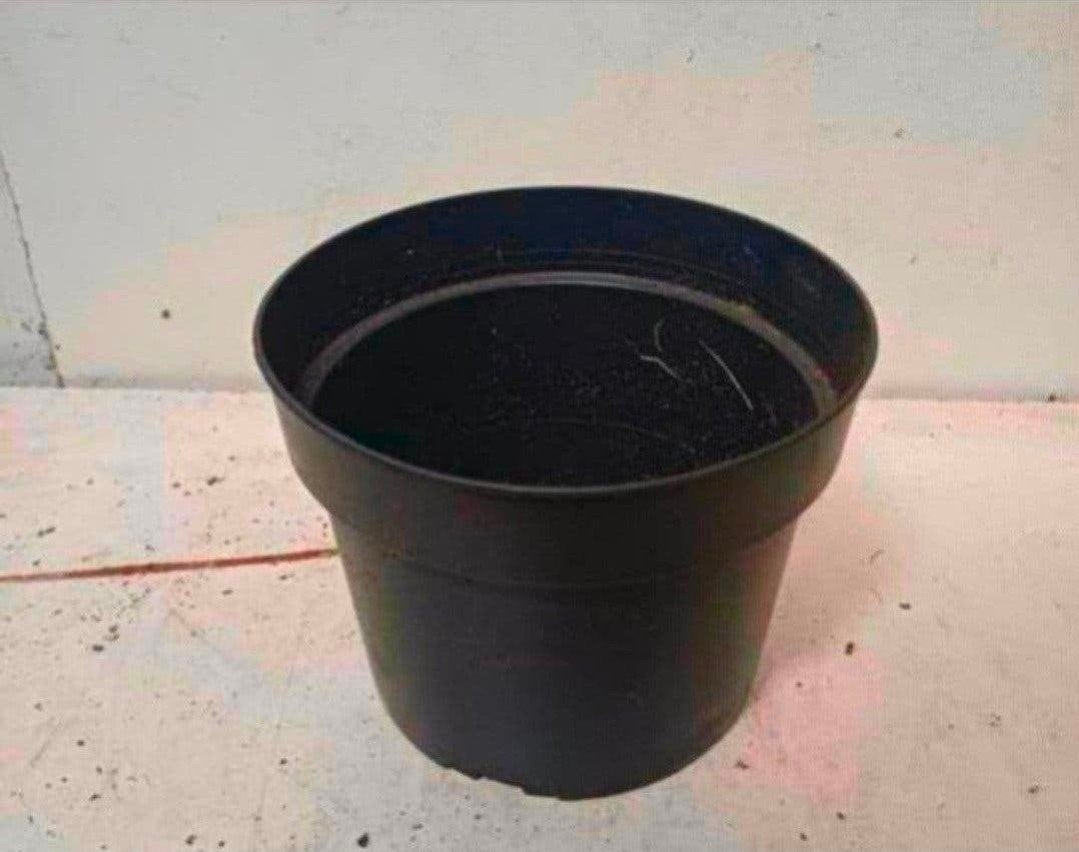 kweekpotten plantenpotten bloempotten 2 liter, Kunststof, Gebruikt, Rond, Ophalen of Verzenden