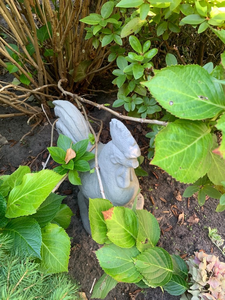 Tuinbeelden, Tuin en Terras, Tuinbeelden, Ophalen, Zo goed als nieuw, Beton, Dierenbeeld
