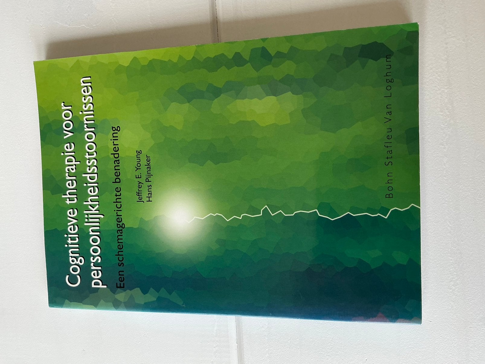 Cognitieve therapie voor persoonlijkheidsstoornissen, Boeken, Ophalen of Verzenden, Zo goed als nieuw, J.E. Young; H. Pijnakker
