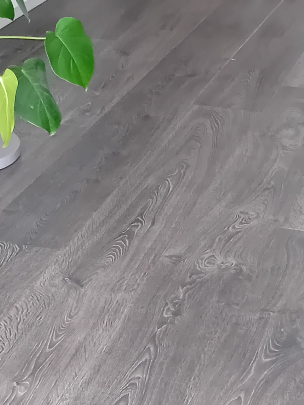35 m2 grijs antraciet klik laminaat, Ophalen, Gebruikt, 25 tot 50 m², Grijs