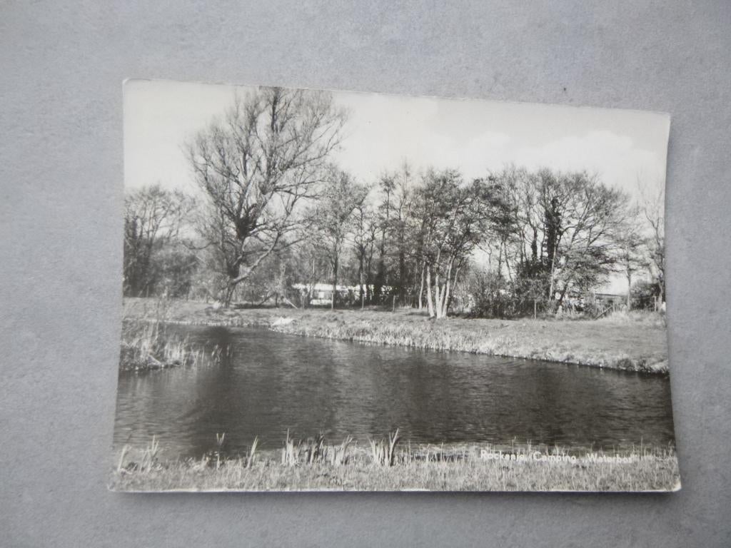 Rockanje, camping waterbos 1982, Verzenden, 1980 tot heden, Gelopen, Noord-Brabant