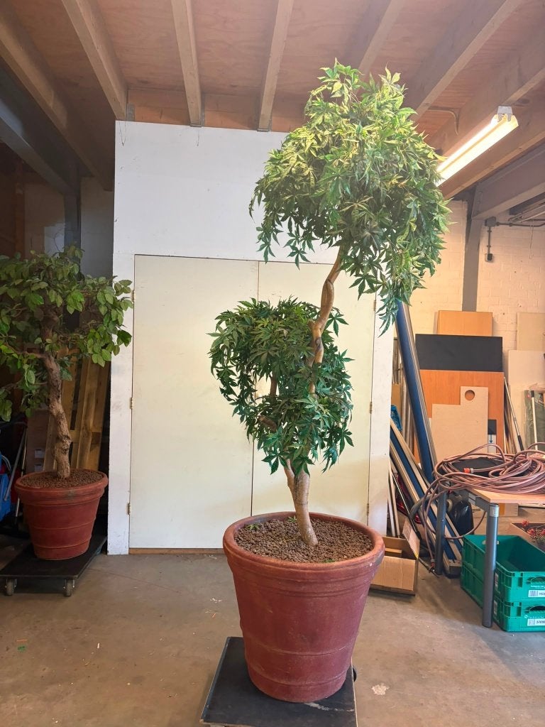 Kunstplant, Ophalen, Kunstplant, Met pot of vaas, Gebruikt