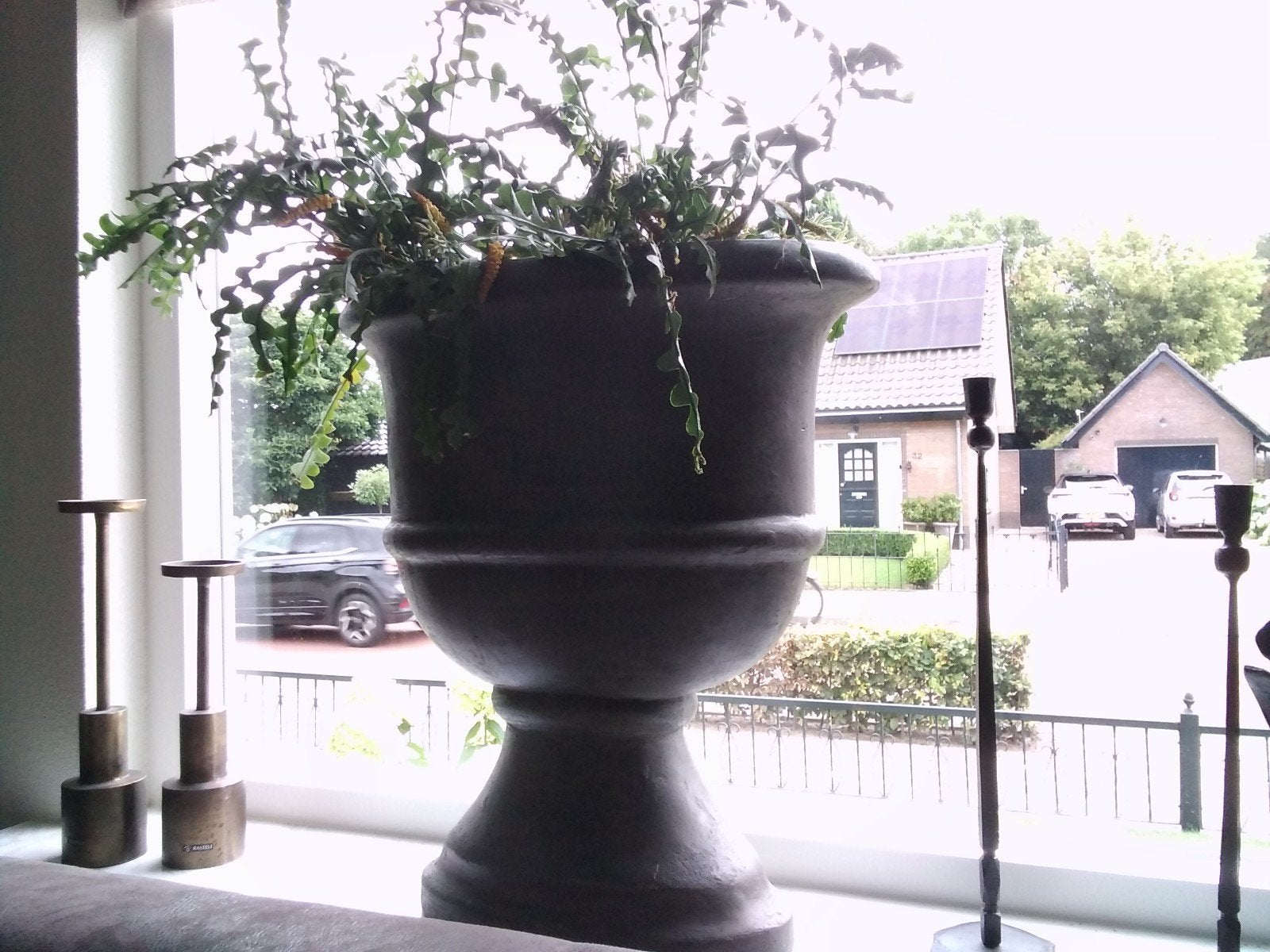 2 grote bloempotten incl planten, Ophalen, Halfschaduw, Minder dan 100 cm
