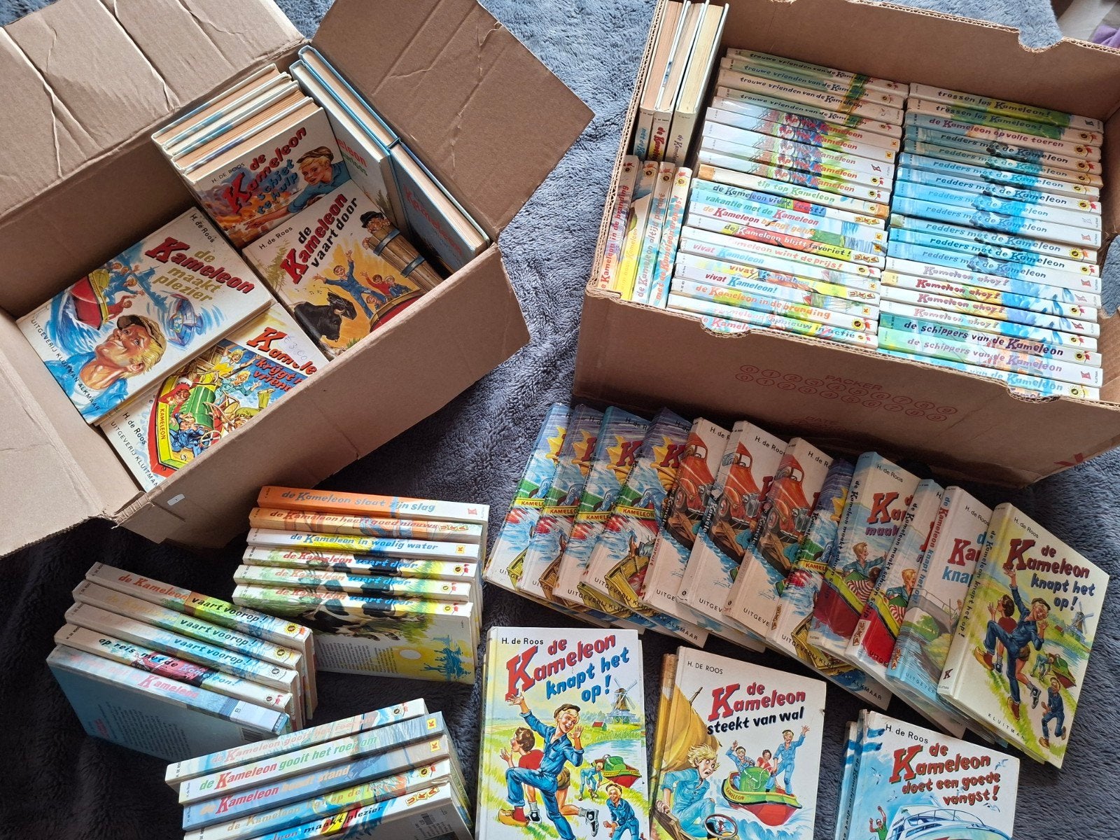 Grote partij Kameleon boeken serie ook dubbel, Boeken, Ophalen, Gelezen, H. de Roos, Fictie