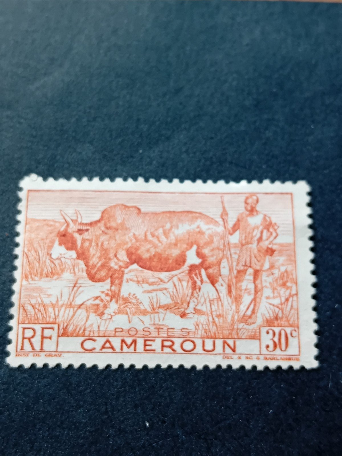 Postzegel Kameroen 30c - Rund en Herder, Ophalen of Verzenden