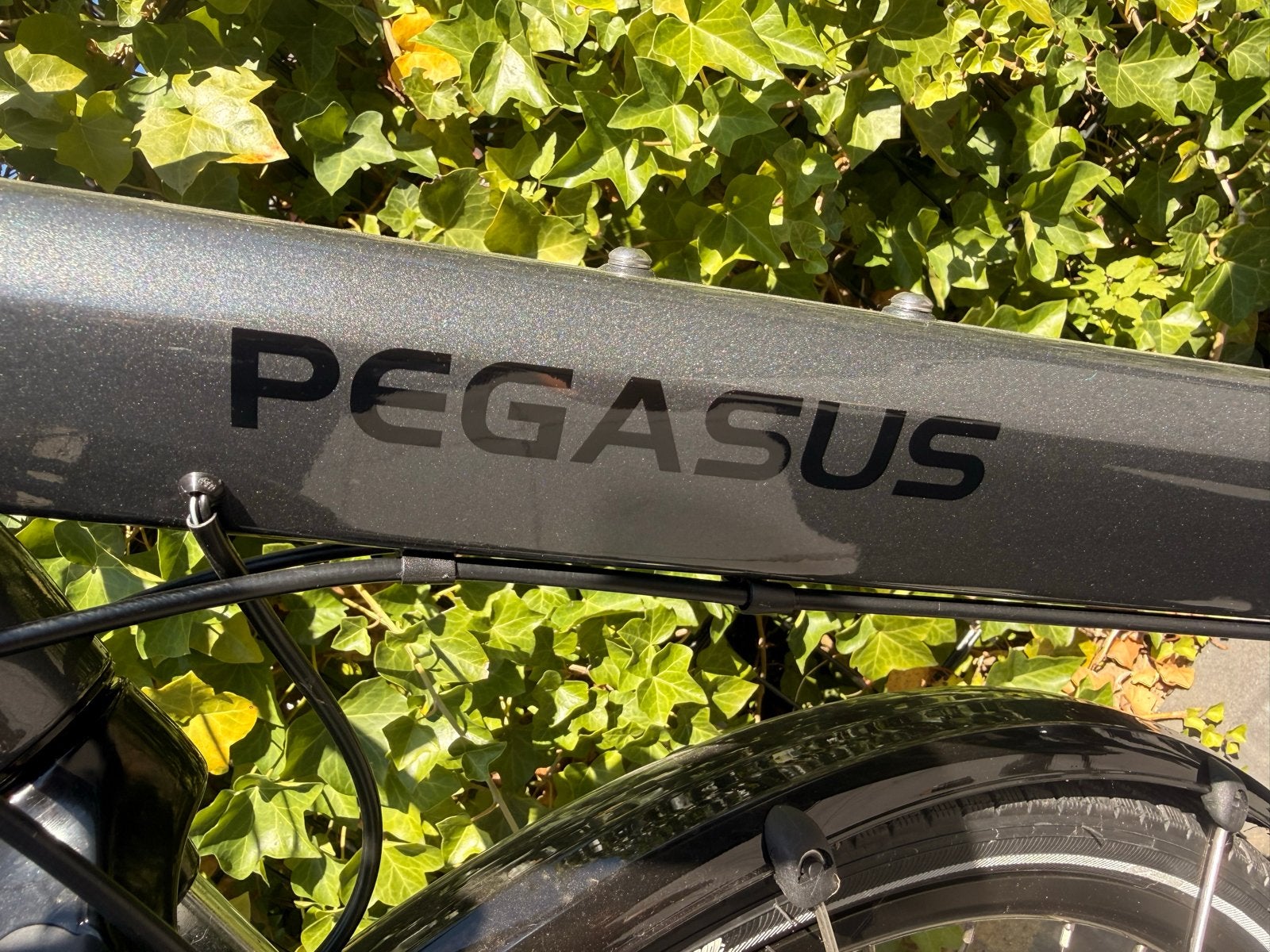 Pegasus fiets - Zo goed als nieuw, 53 tot 56 cm, Versnellingen, Zo goed als nieuw, Ophalen
