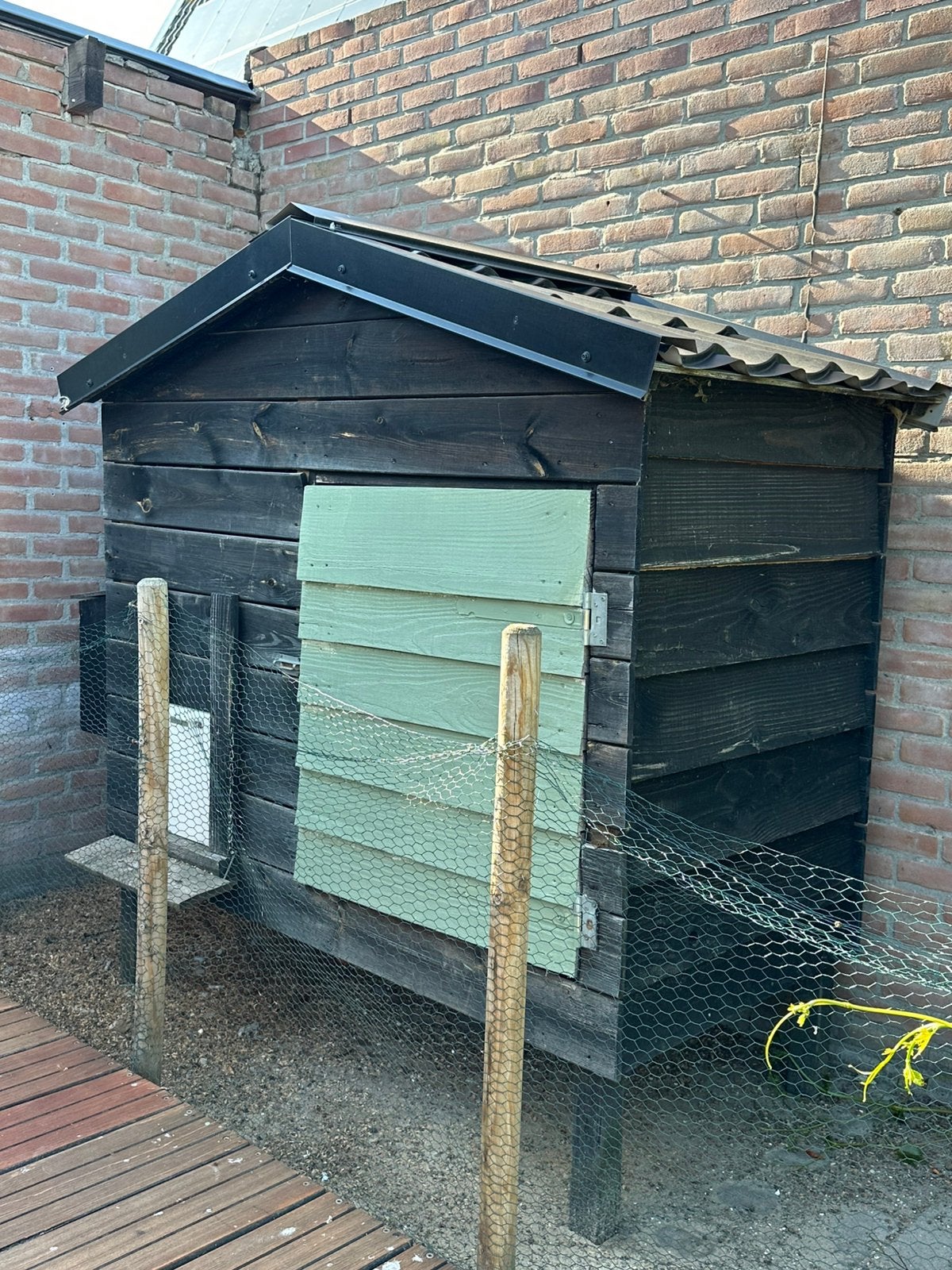 Luxe en robuust kippenhok incl 5 cochin kuiken en toebehoren, Ophalen, Zo goed als nieuw, Kippenhok of Kippenren