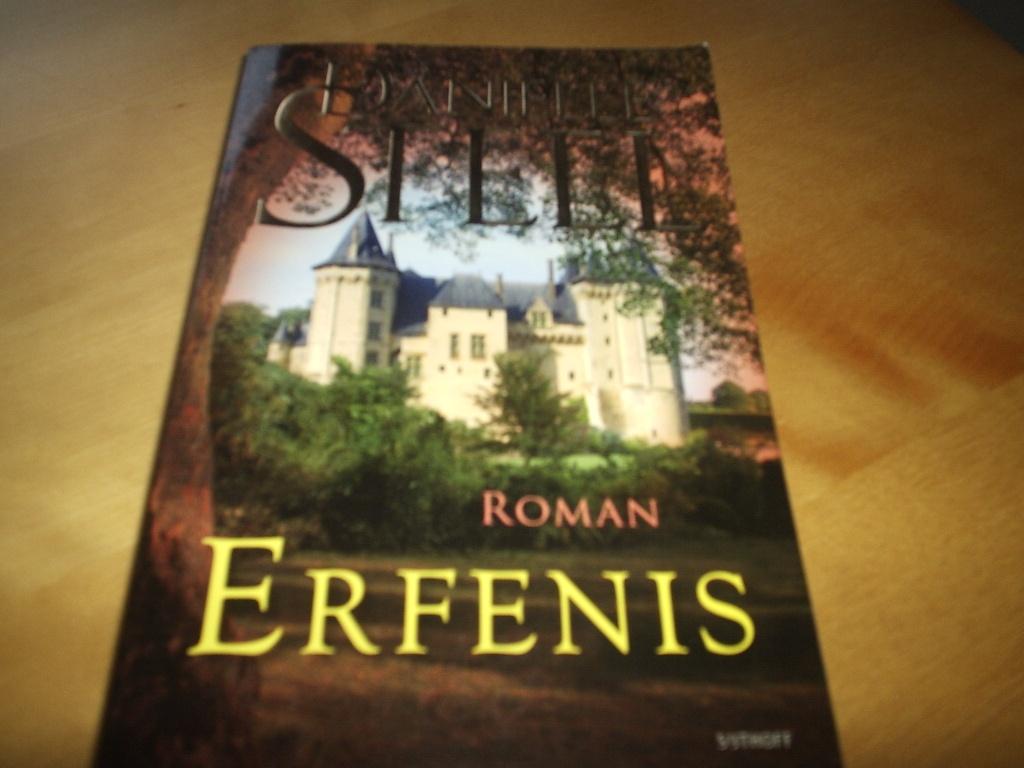 roman van DANIELLE STEEL, Ophalen of Verzenden, Zo goed als nieuw, Danielle Steel, Nederland