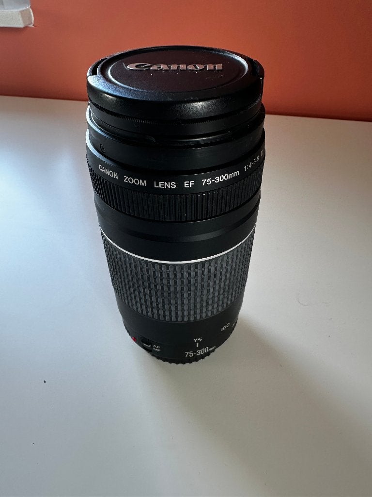 Canon EF 75-300mm f/4.0-5.6 III objectief, Audio, Tv en Foto, Fotografie | Lenzen en Objectieven, Ophalen of Verzenden, Zo goed als nieuw