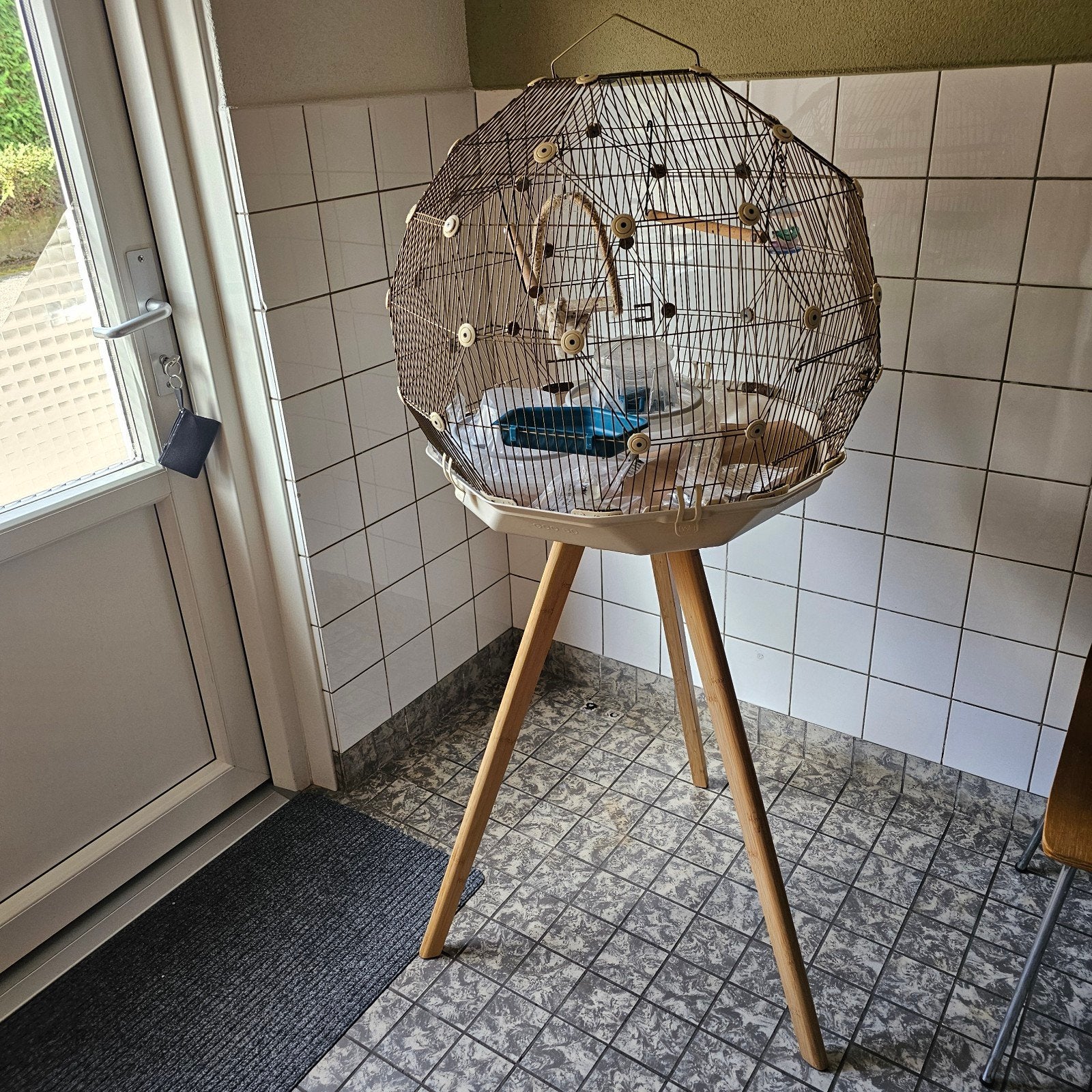 complete geo vogelkooi, Dieren en Toebehoren, Ophalen, Metaal, Vogelkooi