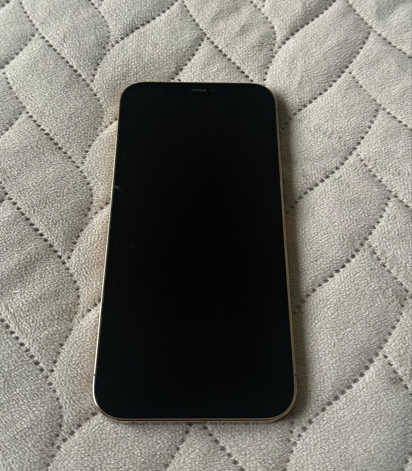 iPhone 12 Pro Max 256GB Goud