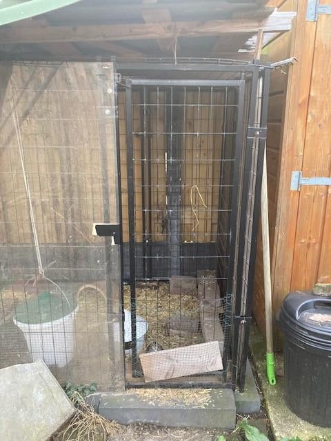 Ren en kwartels, Dieren en Toebehoren, Meerdere dieren, Overige soorten