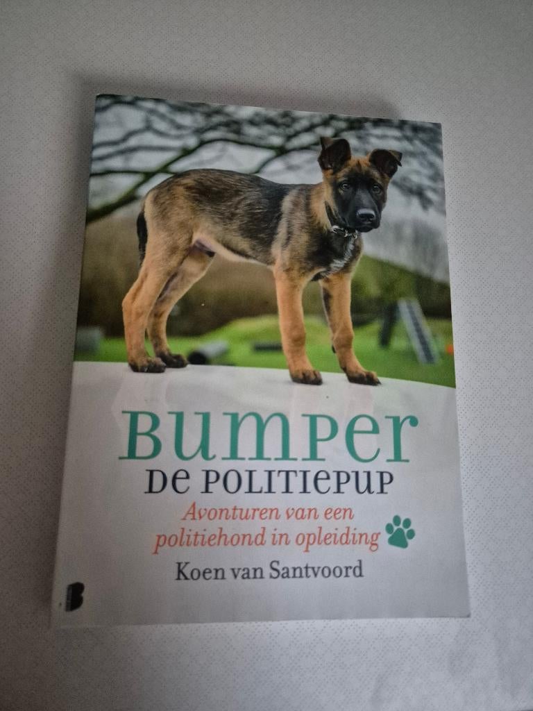 Koen van Santvoord - Bumper de politiepup, Ophalen of Verzenden, Zo goed als nieuw, Koen van Santvoord, Overige onderwerpen